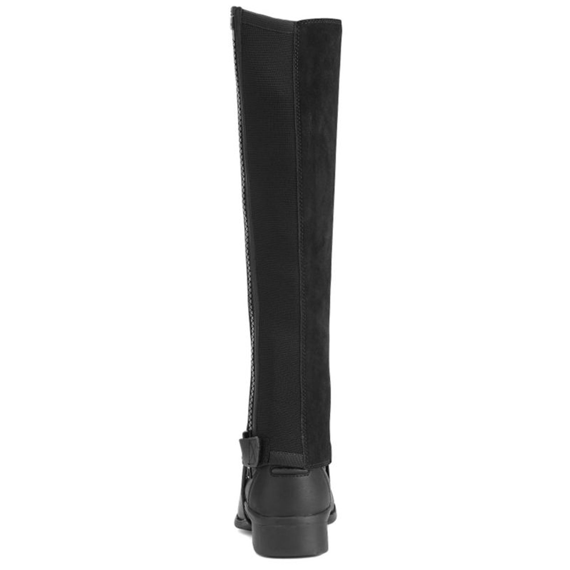 Ariat Unisex Scout Half Chaps