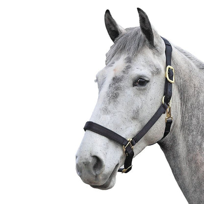 Shires Topaz Nylon Halter