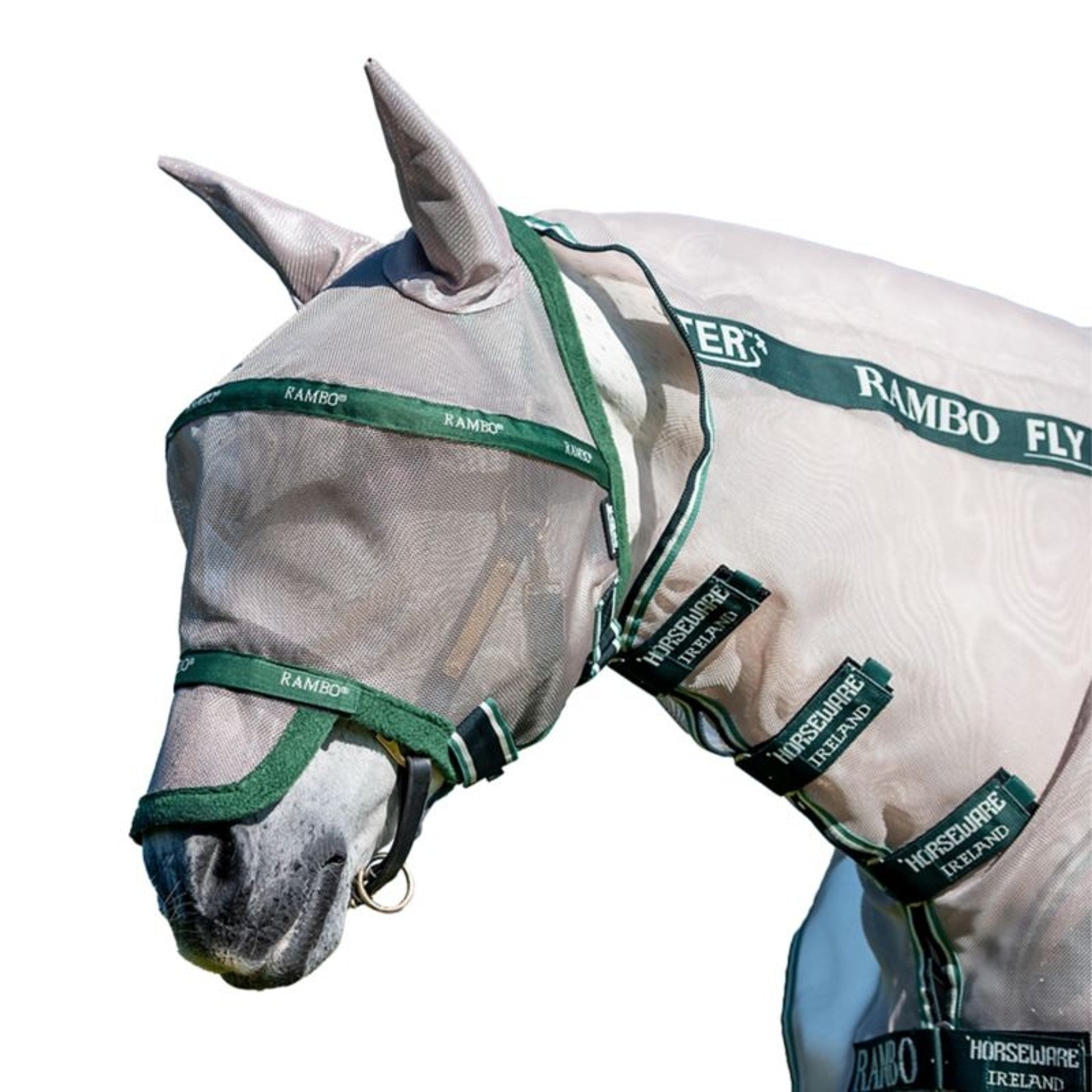 Rambo Flymask