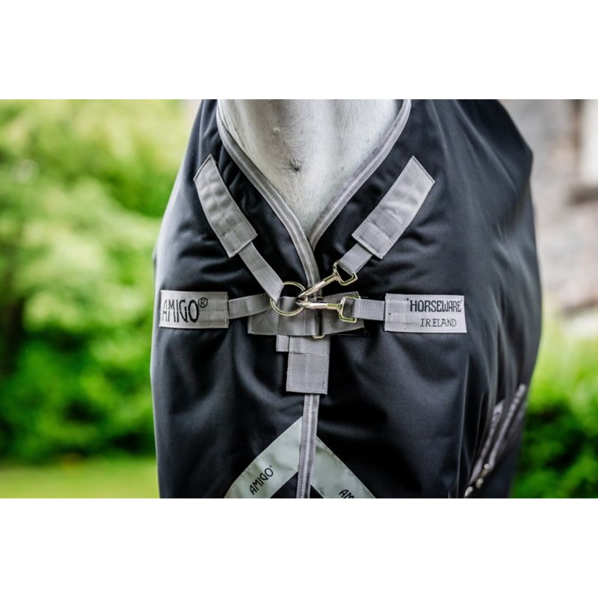 Amigo Bravo 12 Plus 400g VFront TO