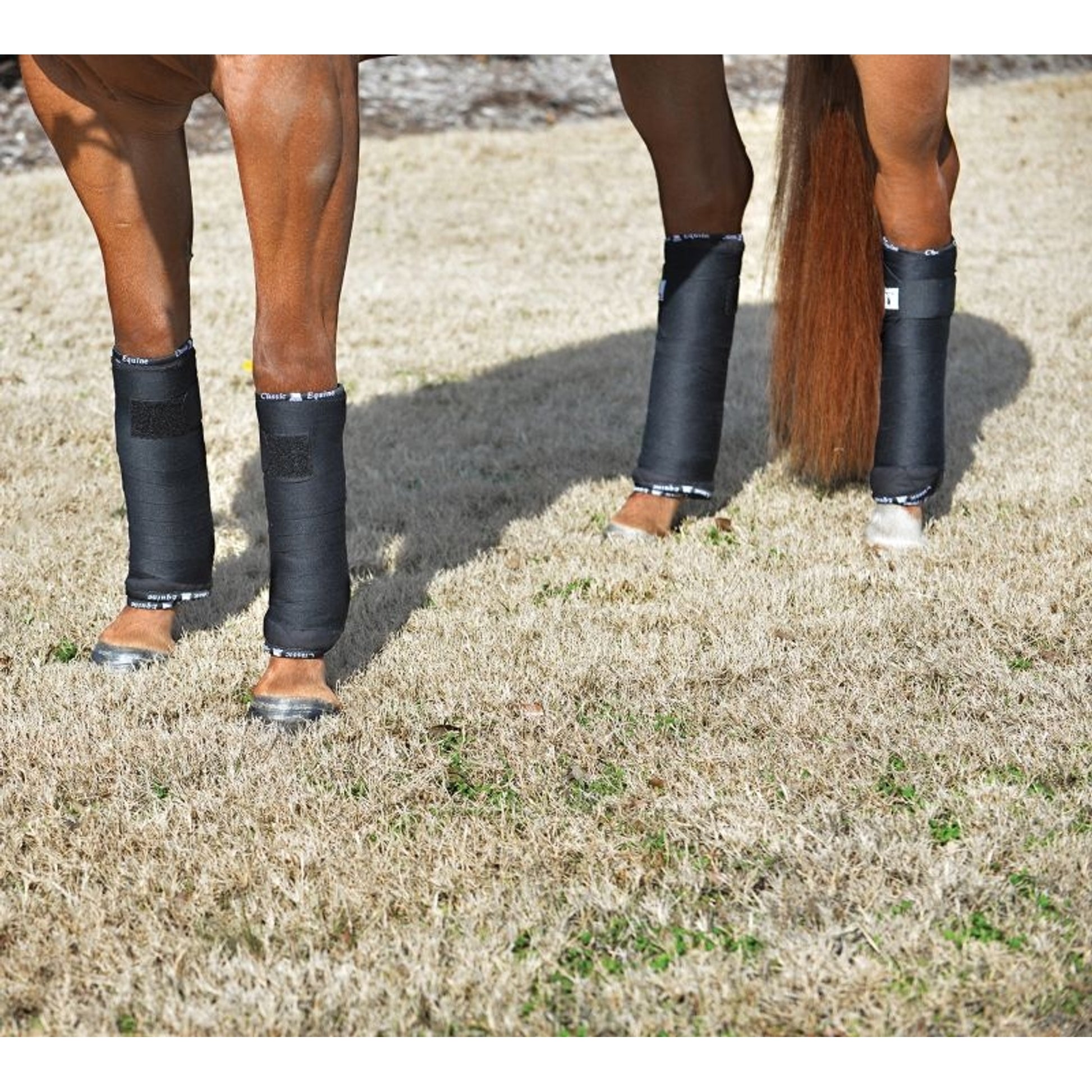 Classic Equine Standing Wrap Bandage
