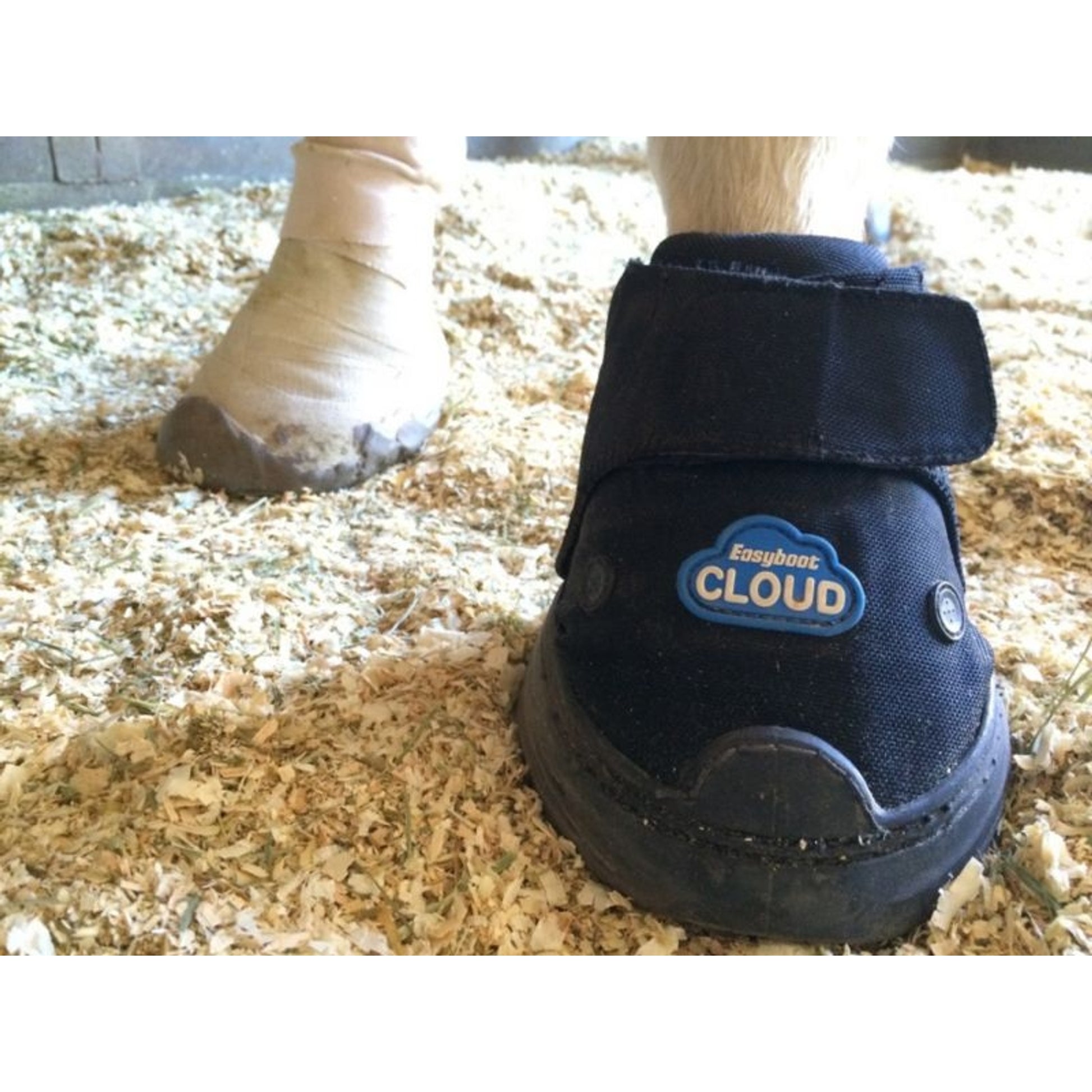 EasyCare Easyboot Cloud Hoof Boot