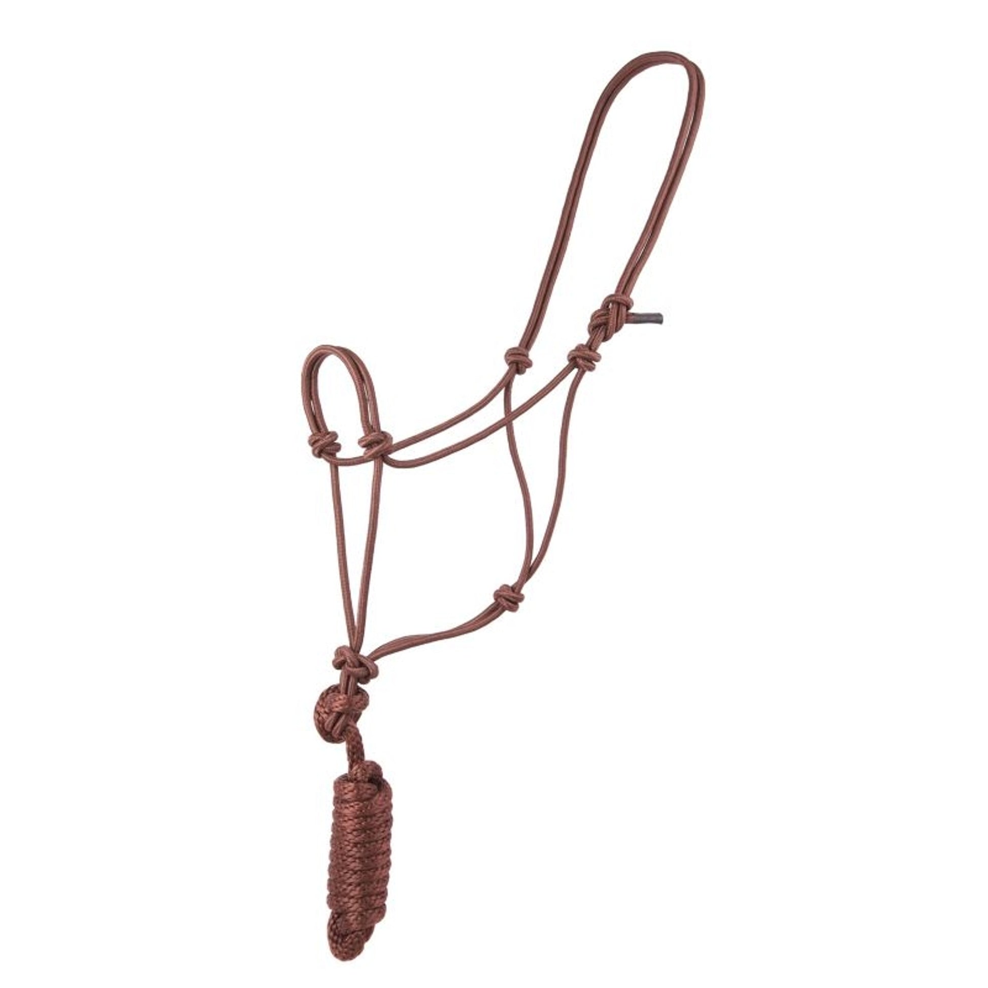 Basic Poly Rope Halter with Lead
