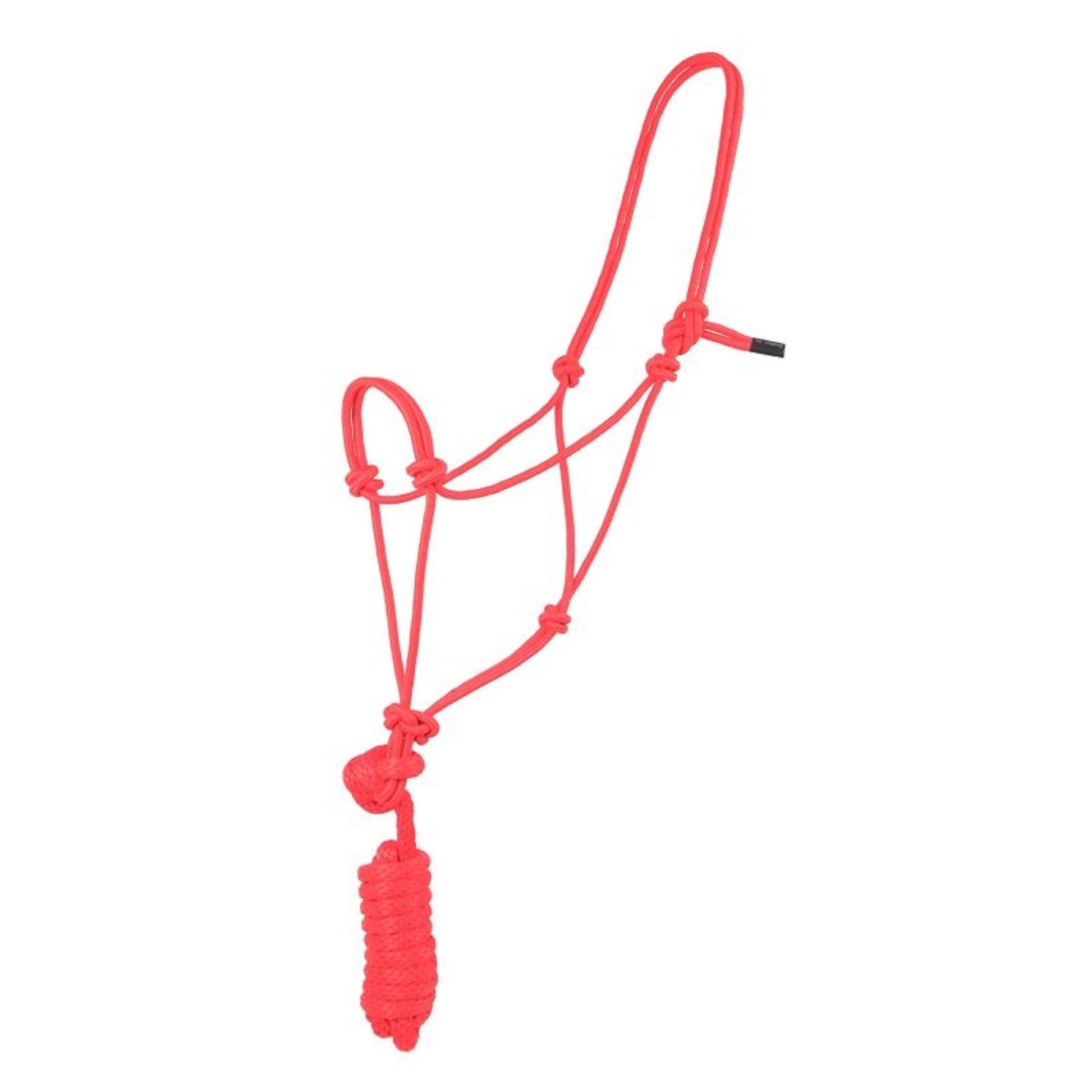 Basic Poly Rope Halter with Lead