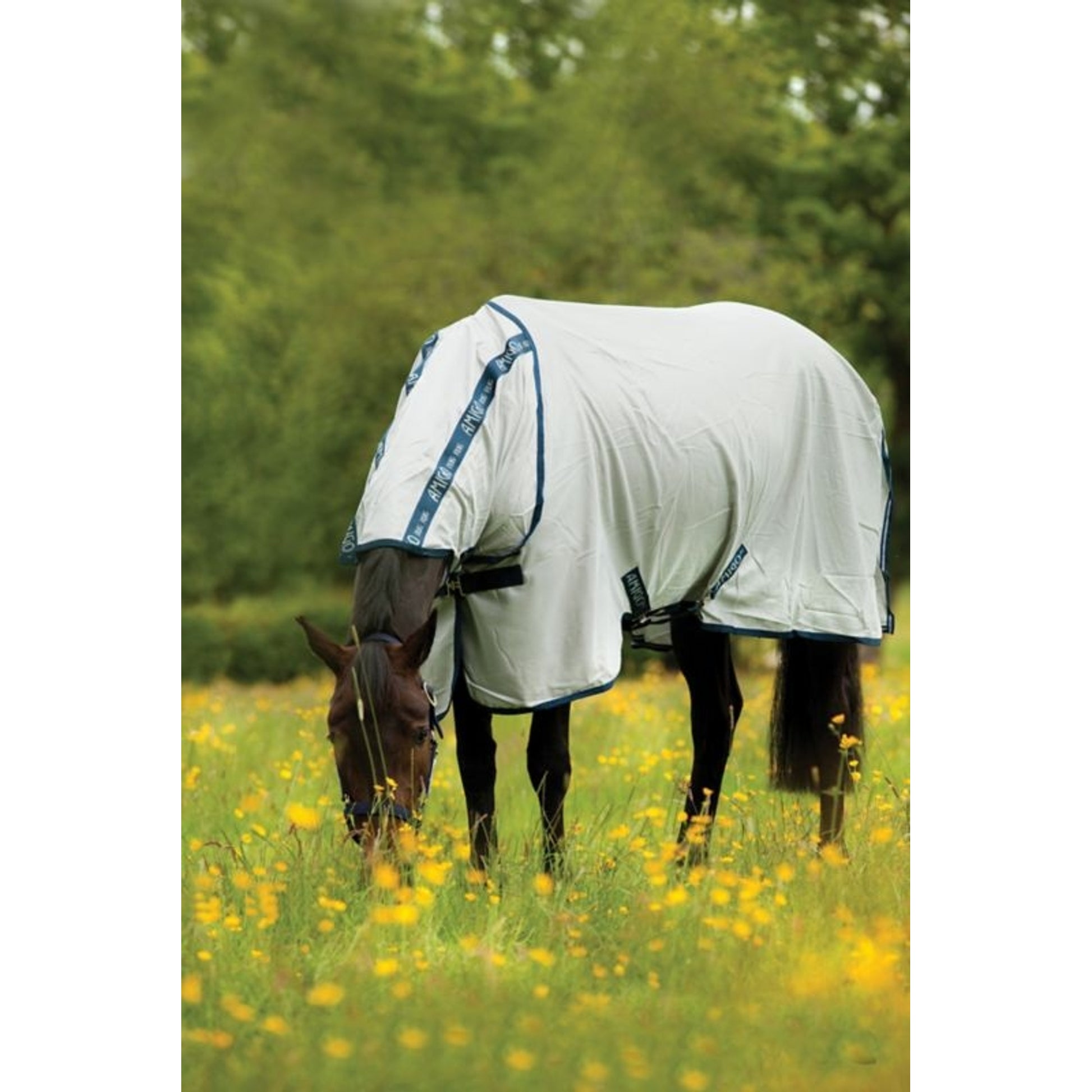 Amigo Bug Rug Flysheet