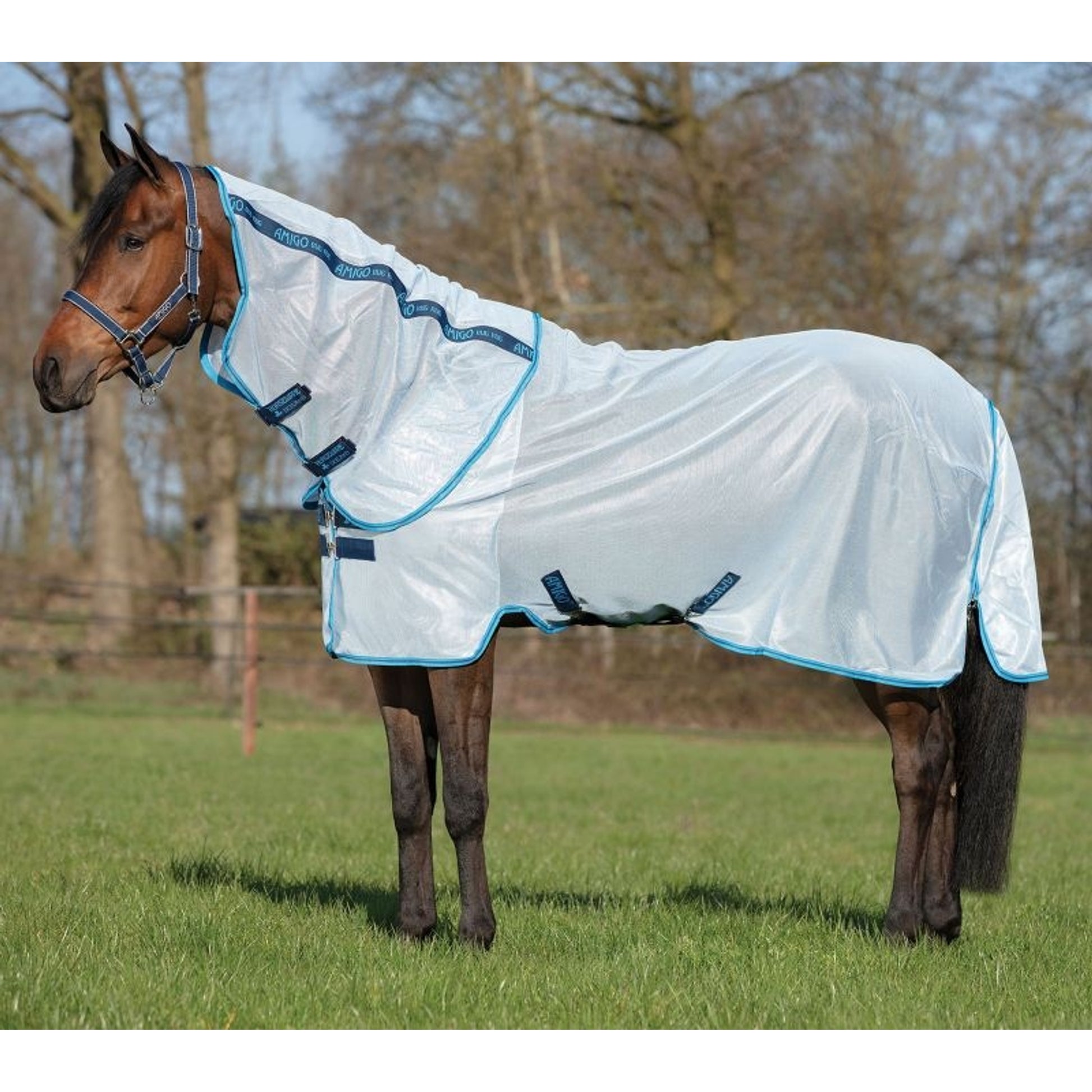 Amigo Bug Rug Flysheet
