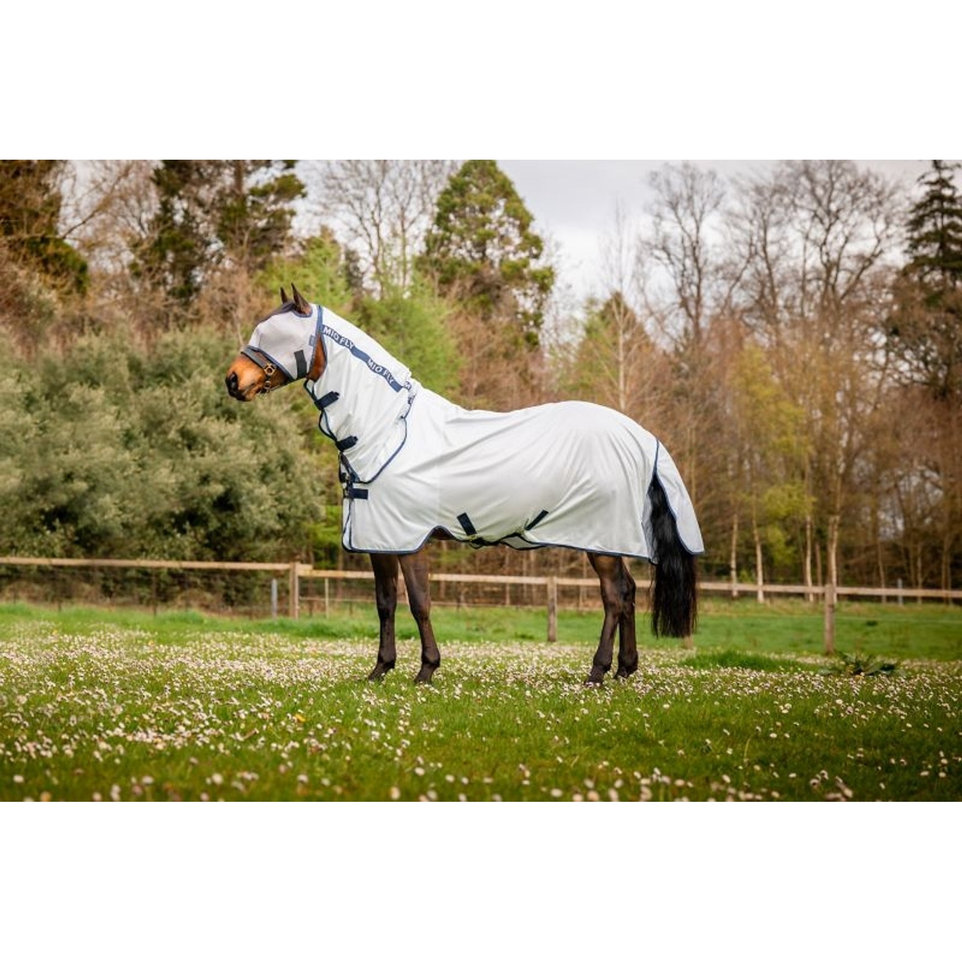 Amigo Mio Combo Flysheet