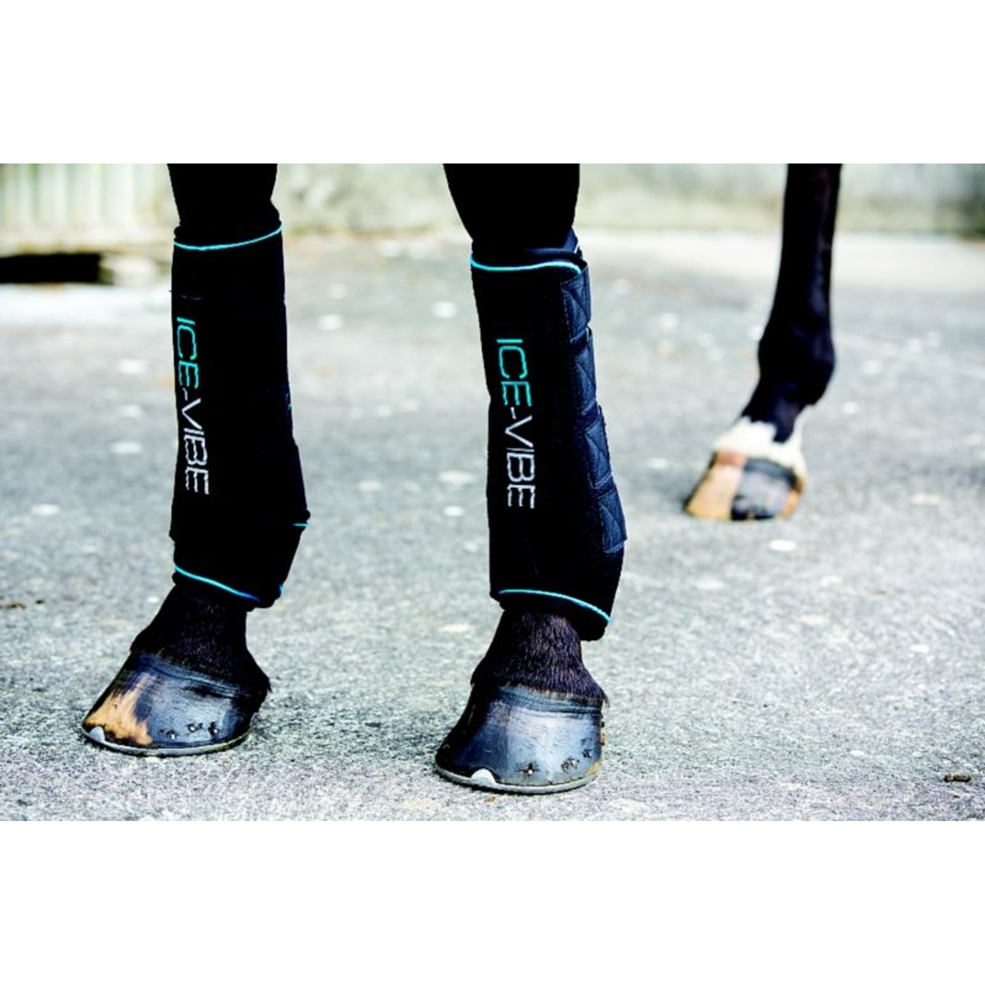 Horseware ICE-VIBE Boots 2pk
