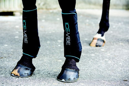 Horseware ICE-VIBE Boots 2pk
