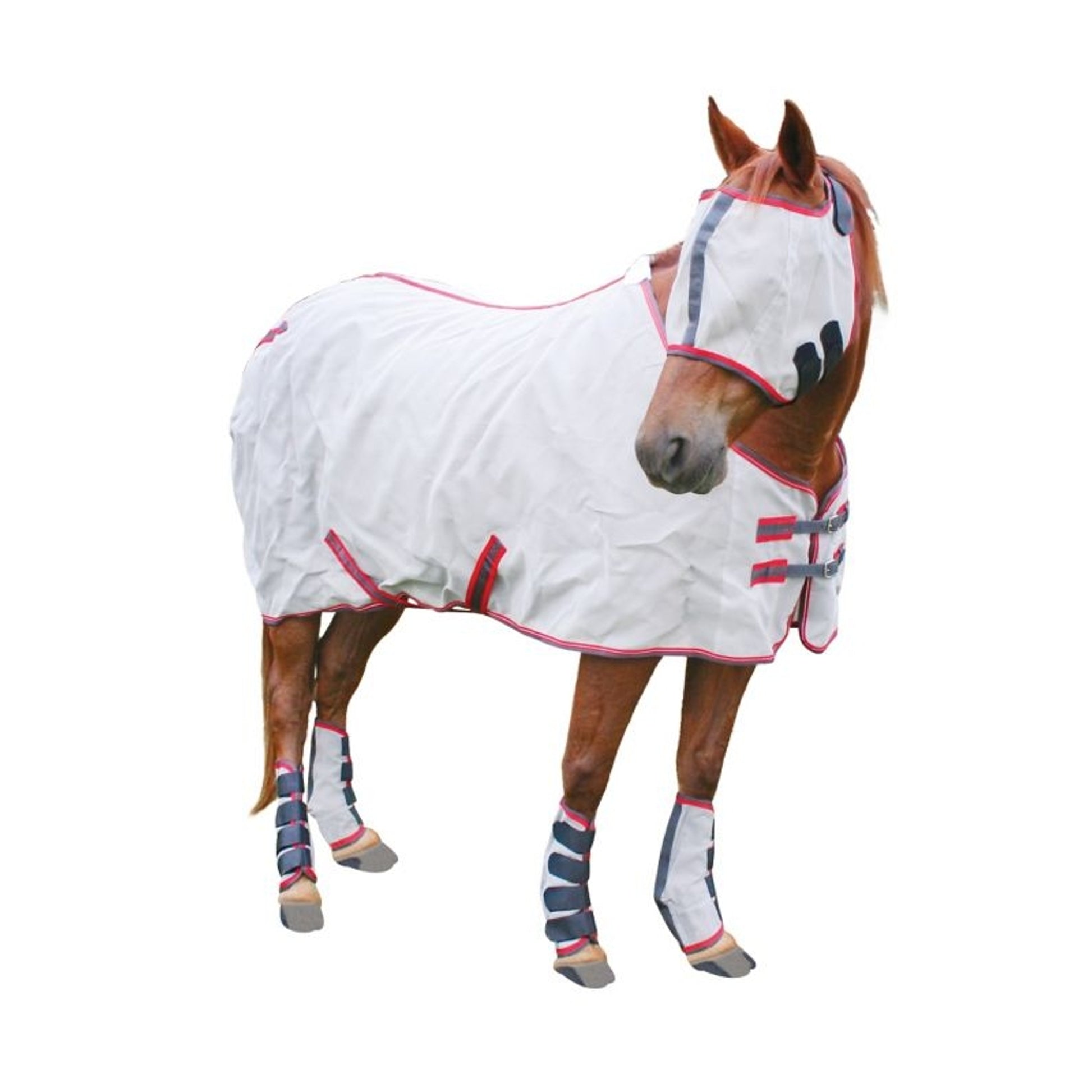 Jacks Training Surcingle Adjusts 68" to 90" Black