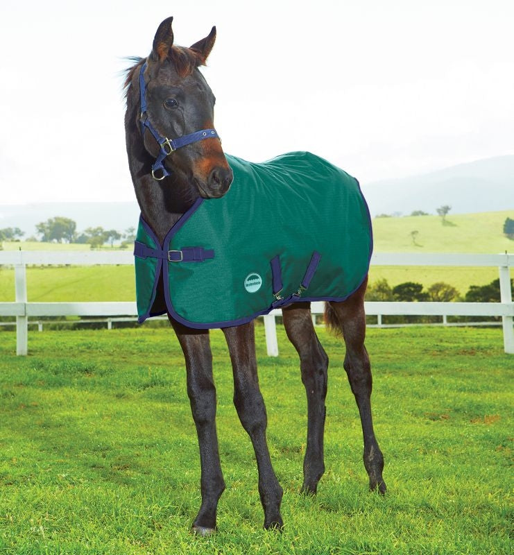 Weatherbeeta ComFiTec Dynamic Standard Foal Med