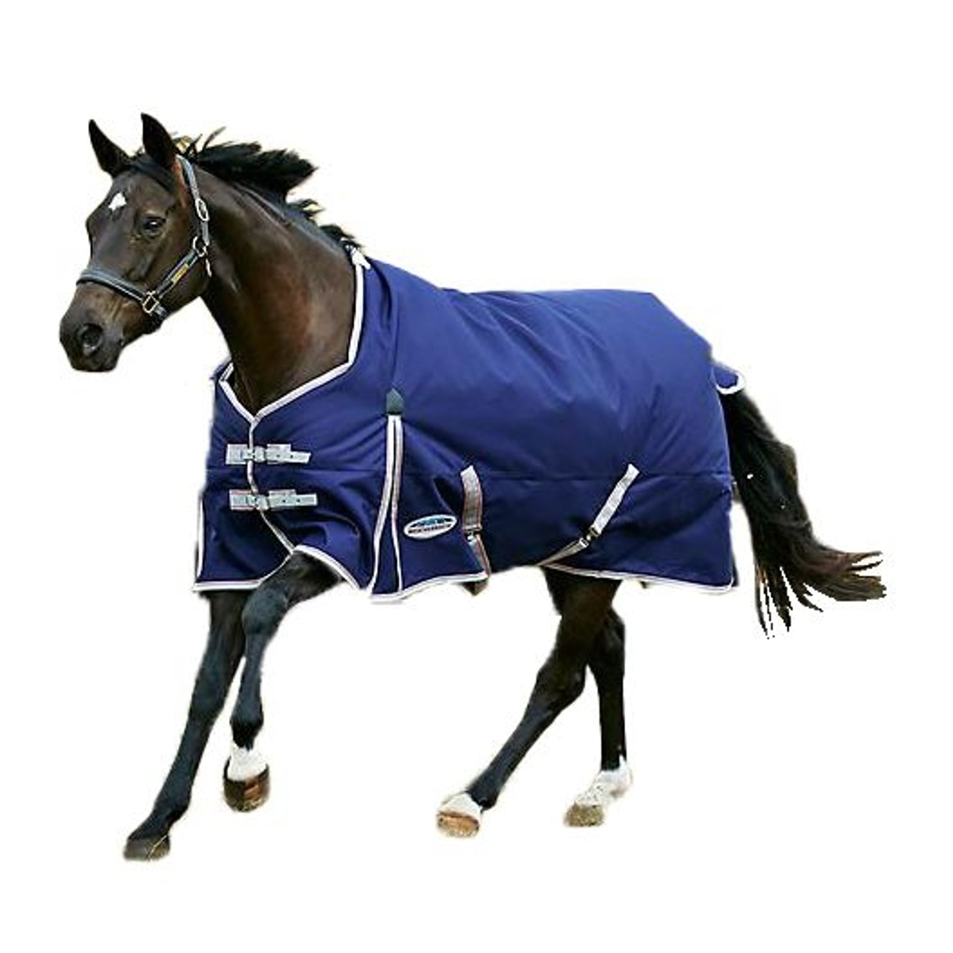 Weatherbeeta ComFiTec Essential Standard Neck Medium Turnout Blanket