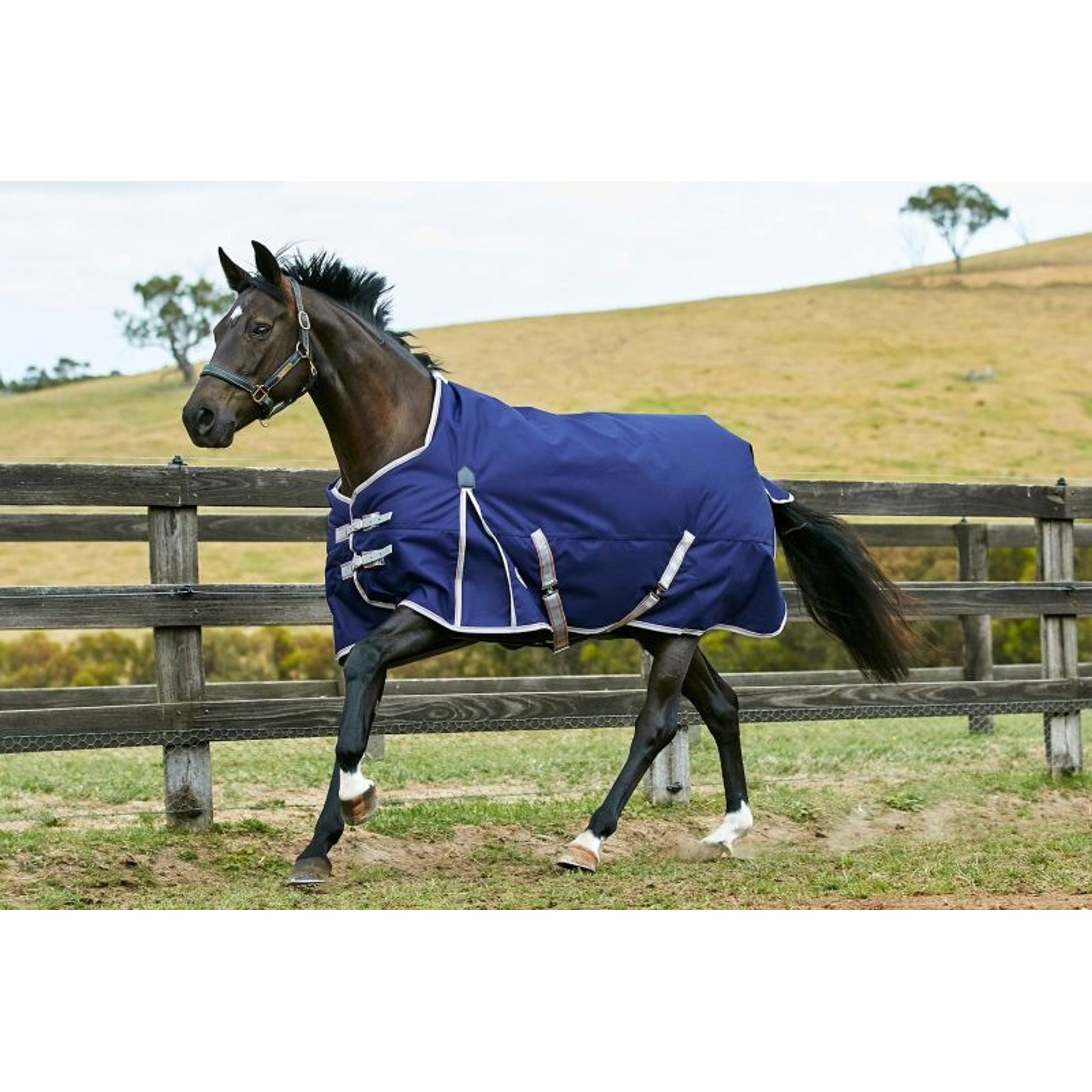 Weatherbeeta ComFiTec Essential Standard Neck Medium Turnout Blanket