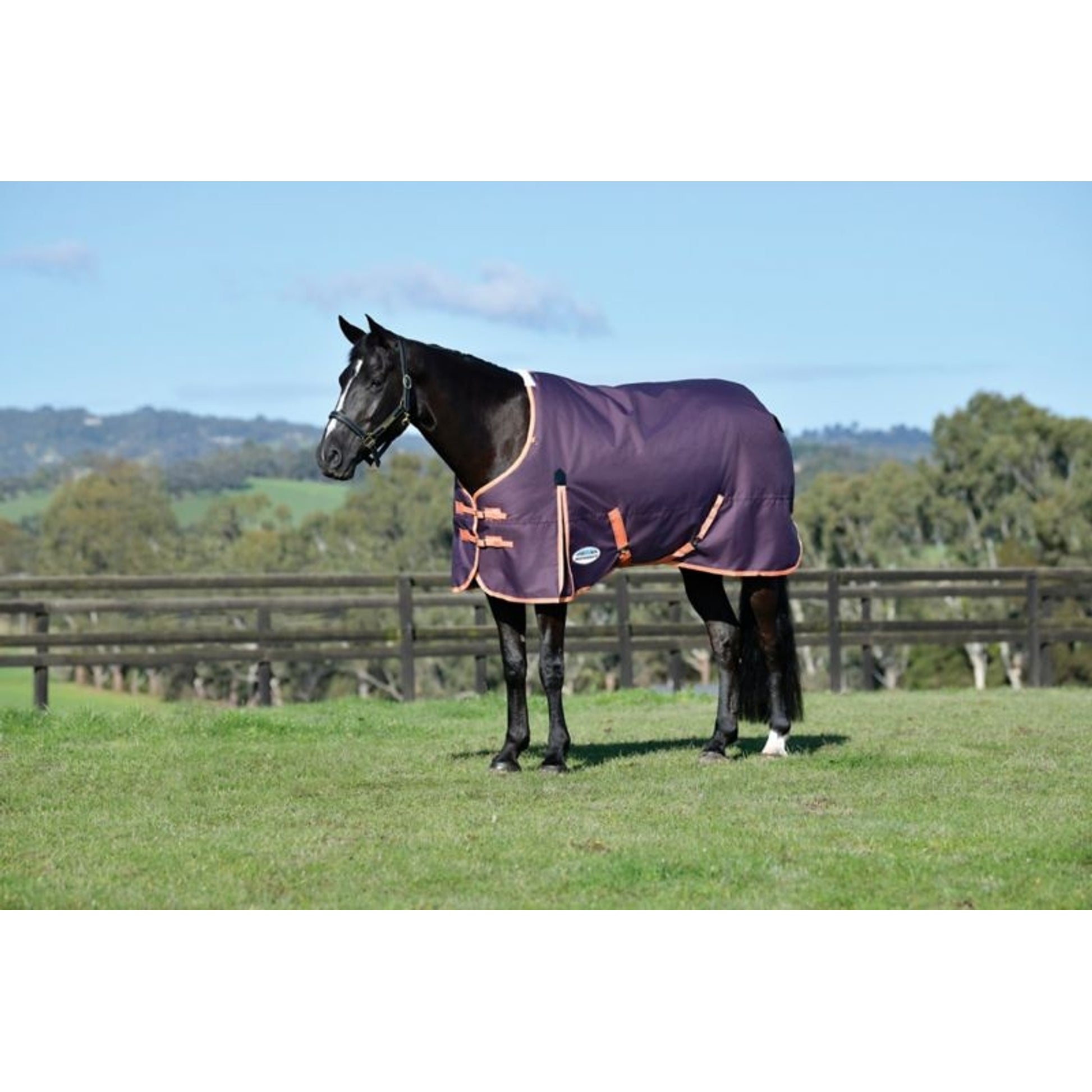 Weatherbeeta ComFiTec Essential Standard Neck Medium Turnout Blanket