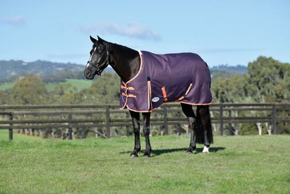 Weatherbeeta ComFiTec Essential Standard Neck Medium Turnout Blanket