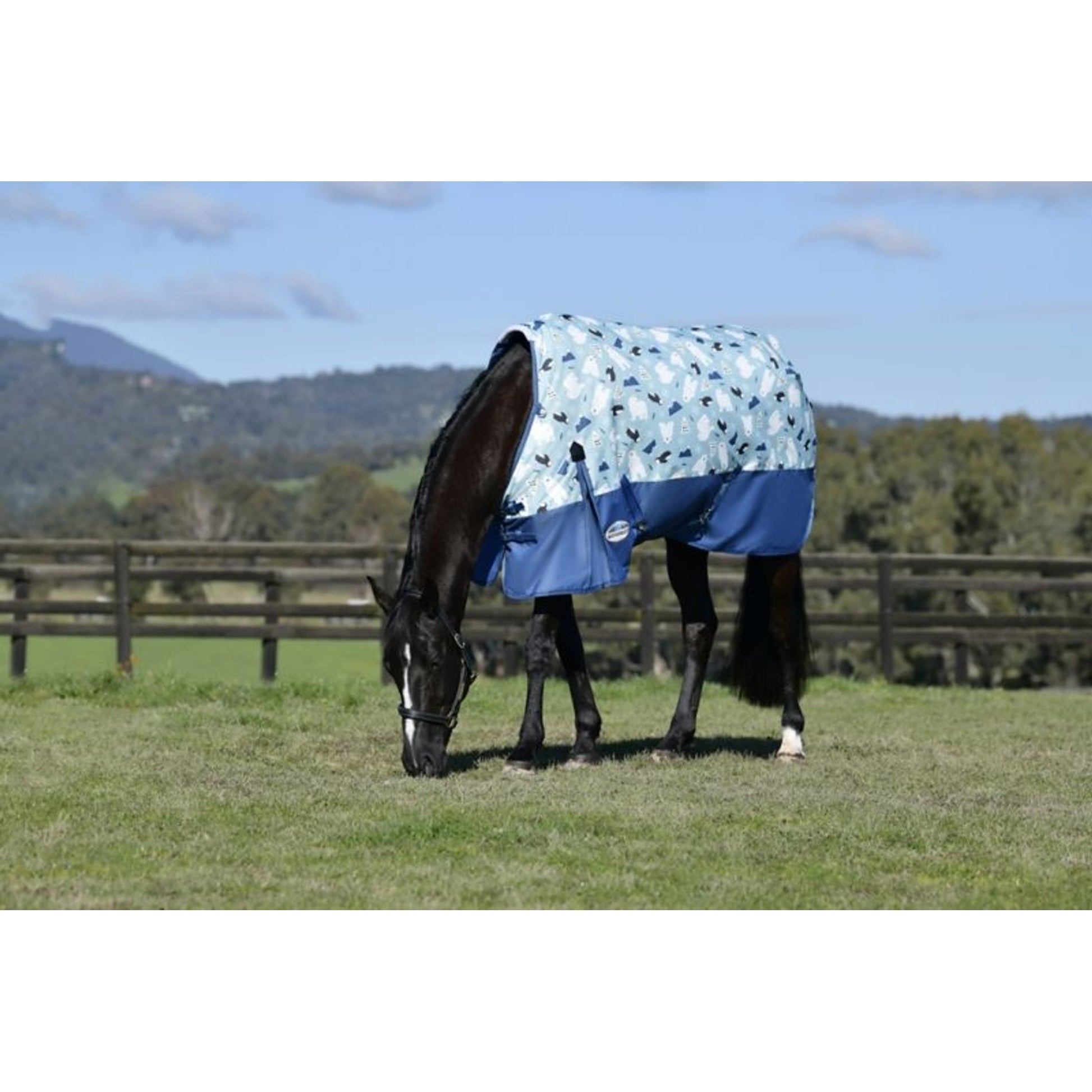 Weatherbeeta ComFiTec Essential Standard Neck Medium Turnout Blanket
