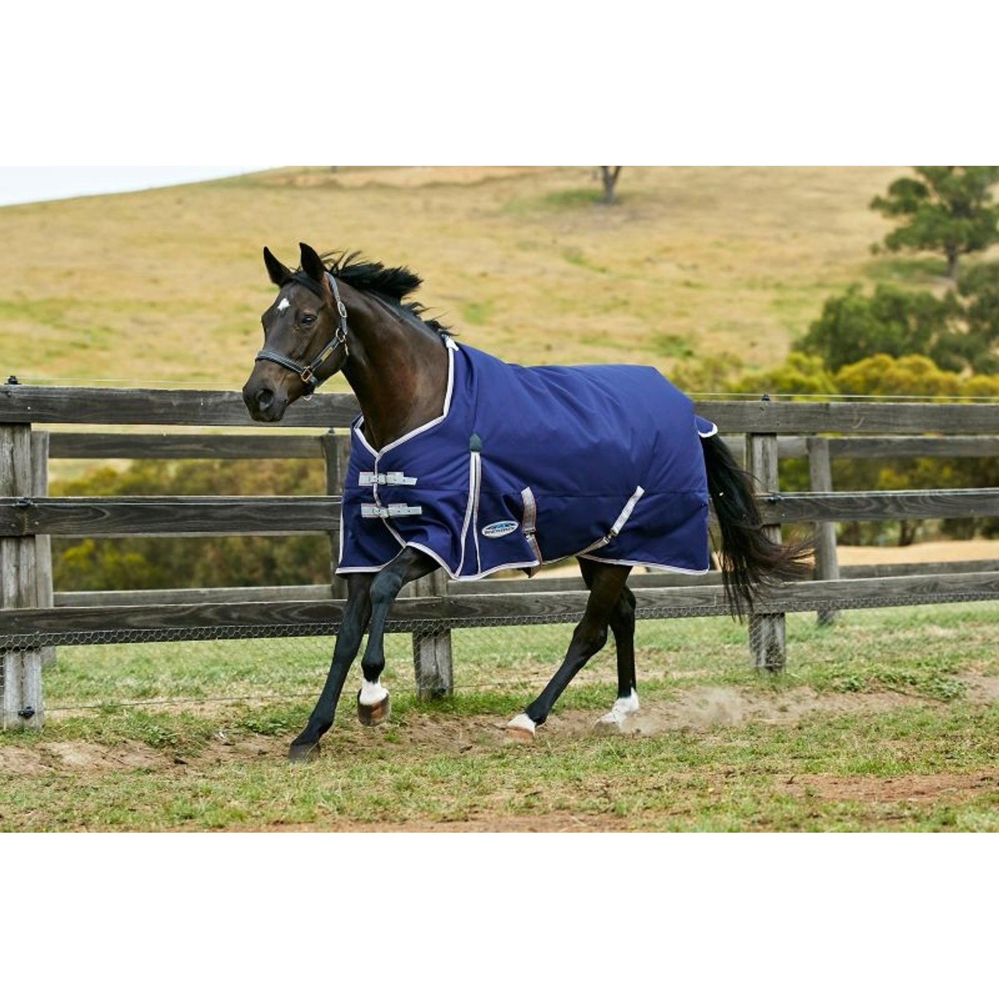 Weatherbeeta ComFiTec Essential Standard Neck Lite Blanket
