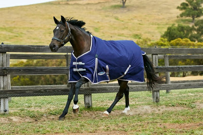 Weatherbeeta ComFiTec Essential Standard Neck Lite Blanket