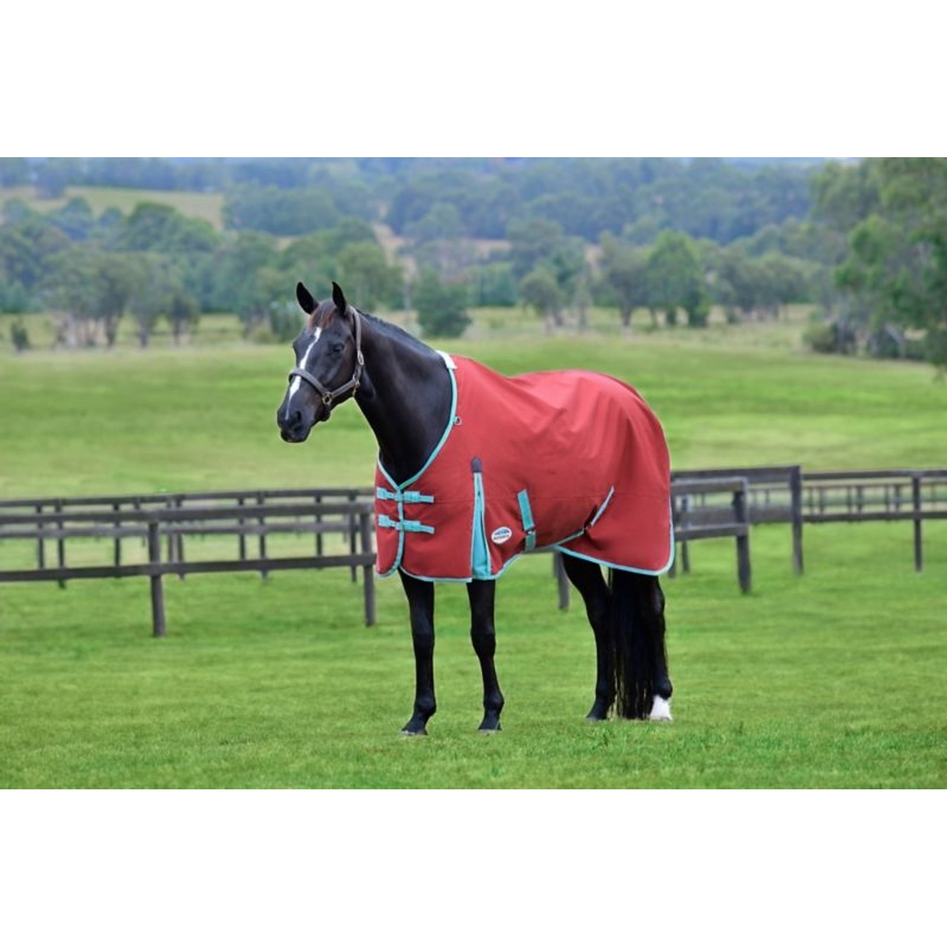 Weatherbeeta ComFiTec Essential Standard Neck Lite Blanket