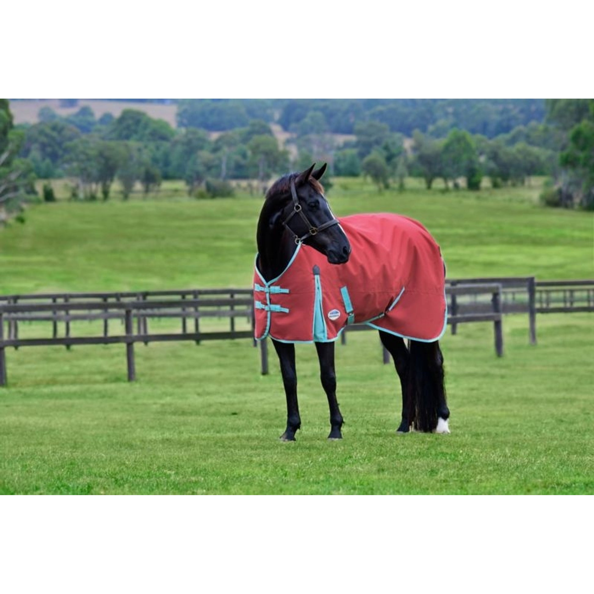 Weatherbeeta ComFiTec Essential Standard Neck Lite Blanket