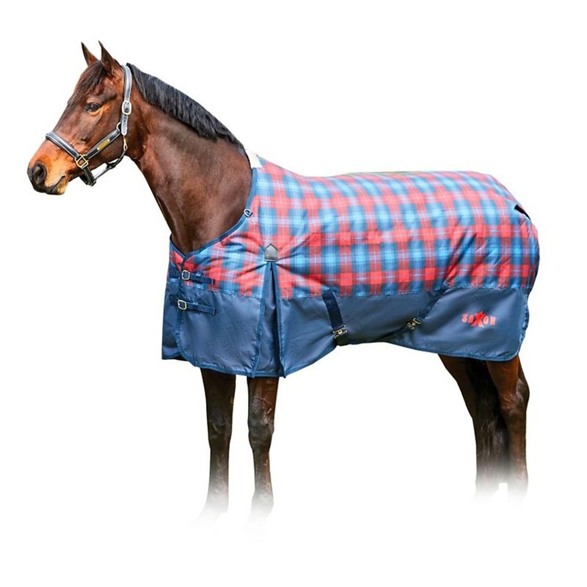 Saxon 1200D Standard Neck Heavy