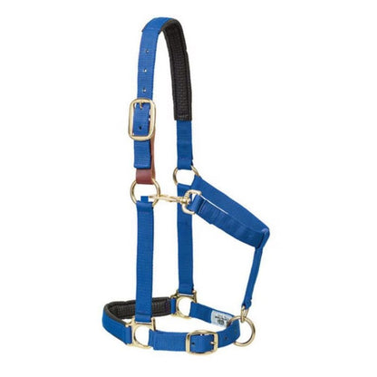 Weaver Breakaway Adjustable Halter