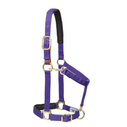 Weaver Breakaway Adjustable Halter