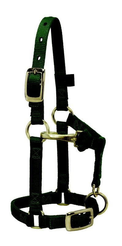Weaver Mini Adj Nylon Halter Brass