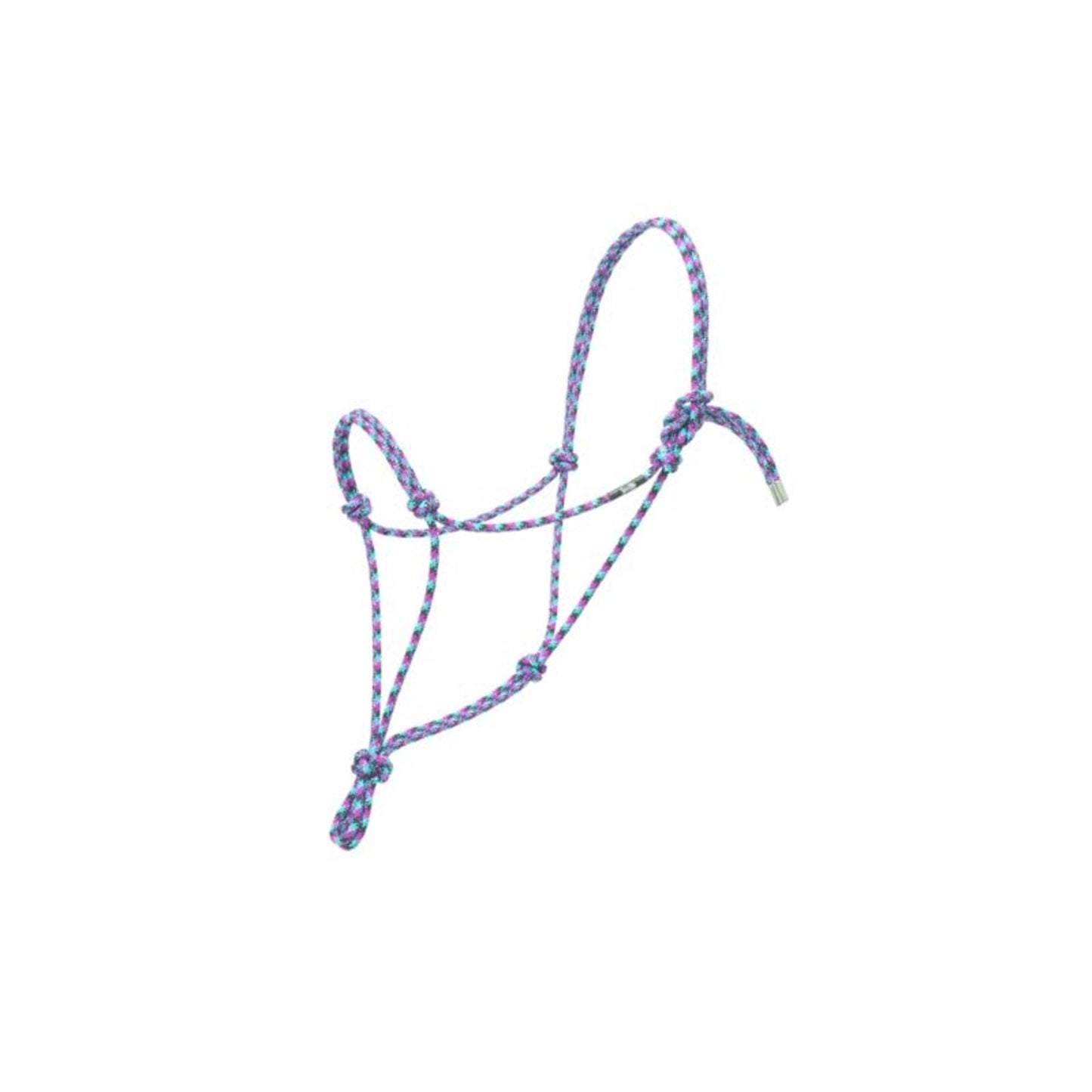 TE017059_552419_01.jpg
