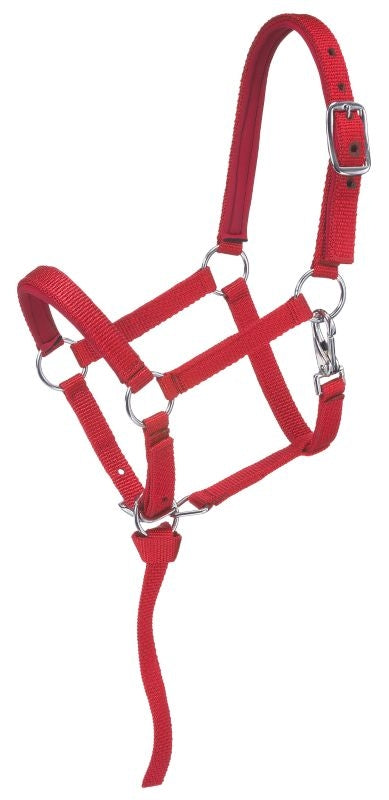Tough1 Nylon Padded Mini Halter