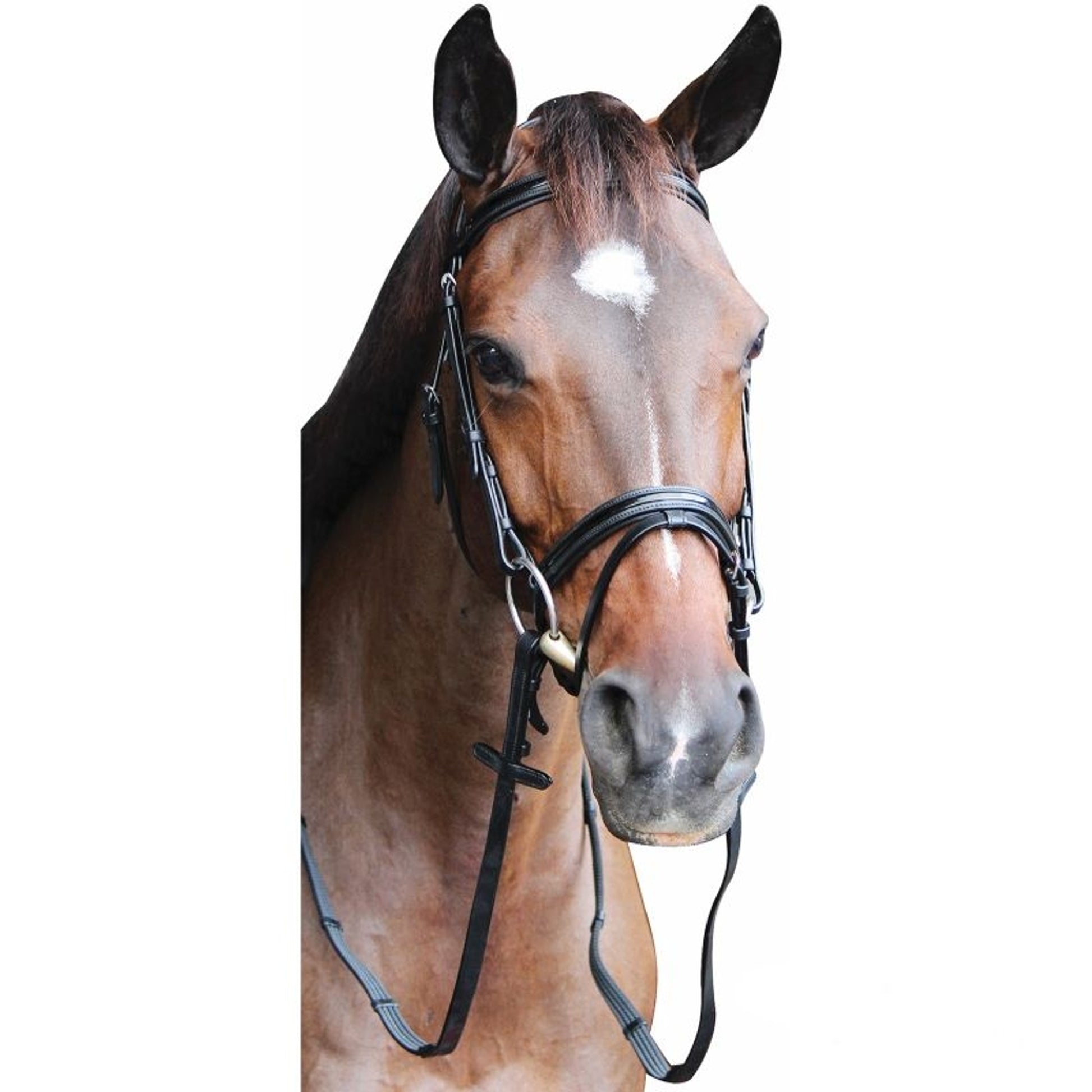 HDR Piaffe Mono Crown Bridle w.Flash