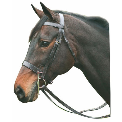 Henri de Rivel Pro Hunt Bridle
