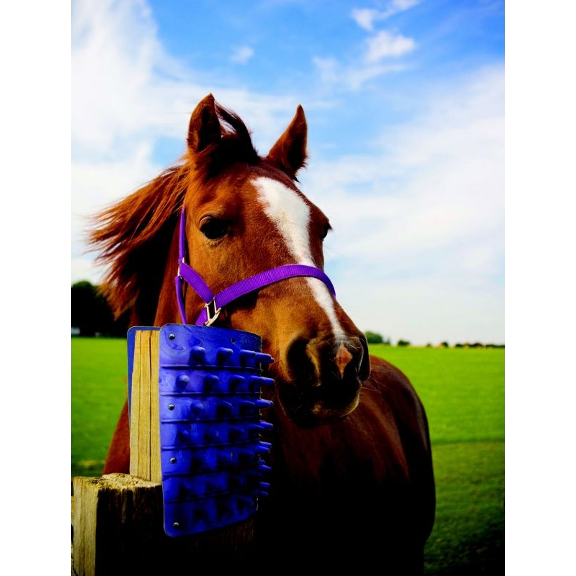 Itchin Post Grooming Pad