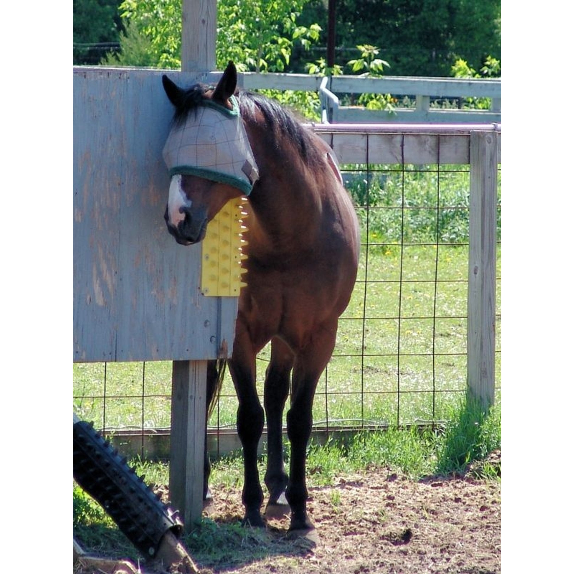Itchin Post Grooming Pad