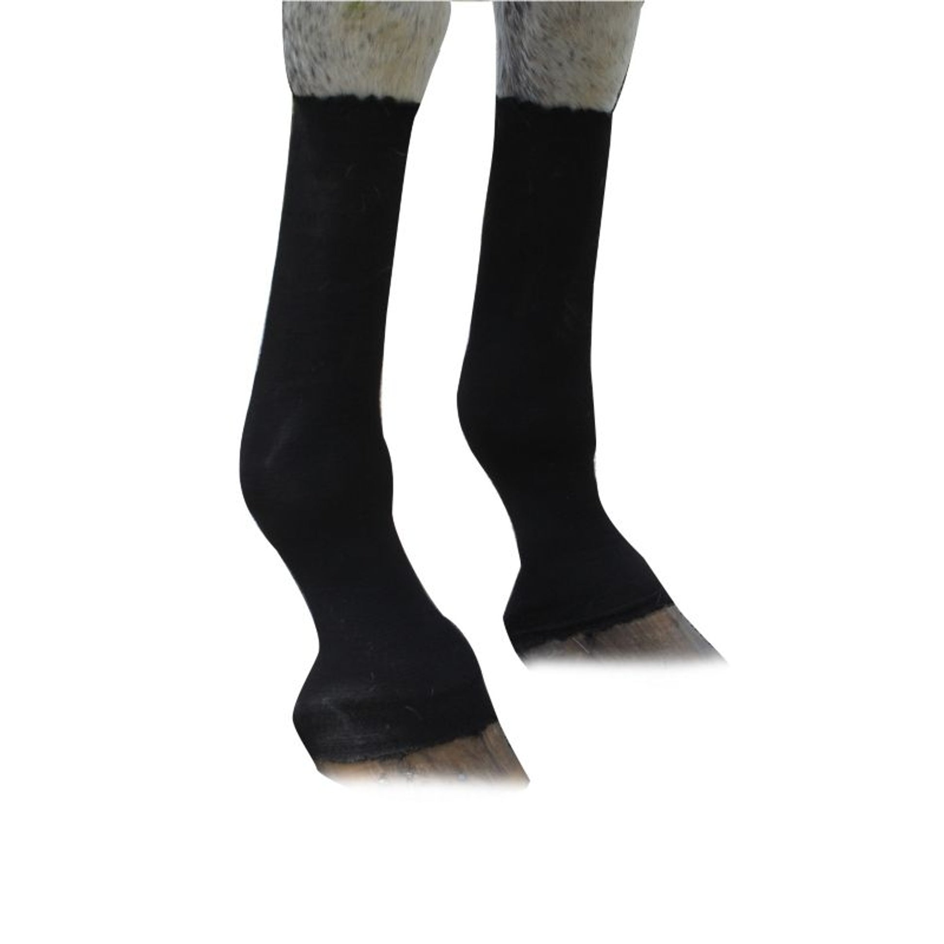 EquiFit HorseSox Individual