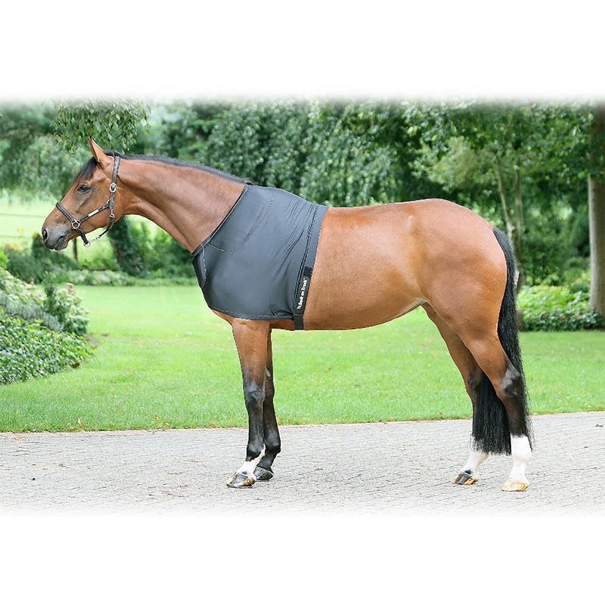 Back on Track Therapeutic Equine Shoulder Guard