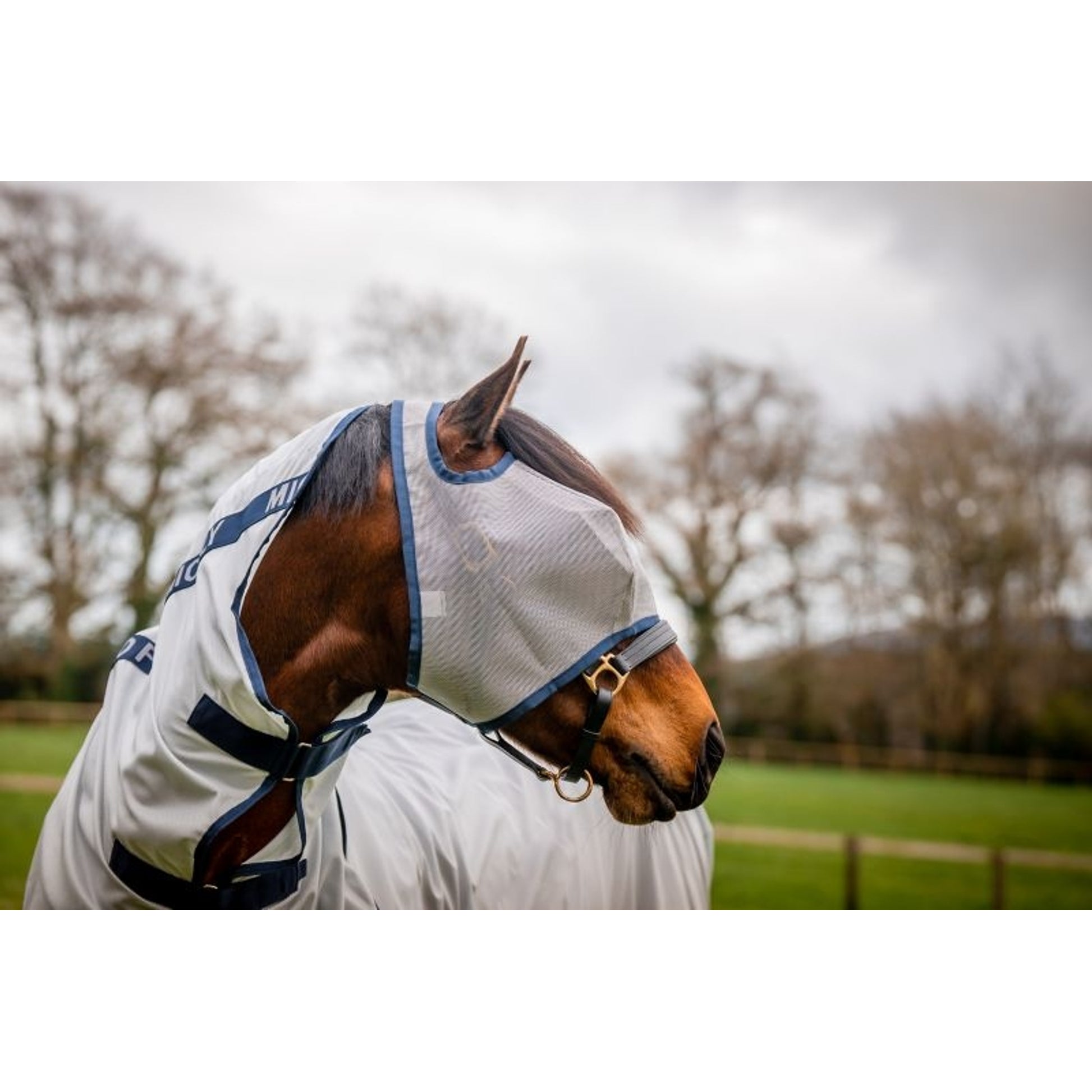 Mio Fly Mask 5 Pack