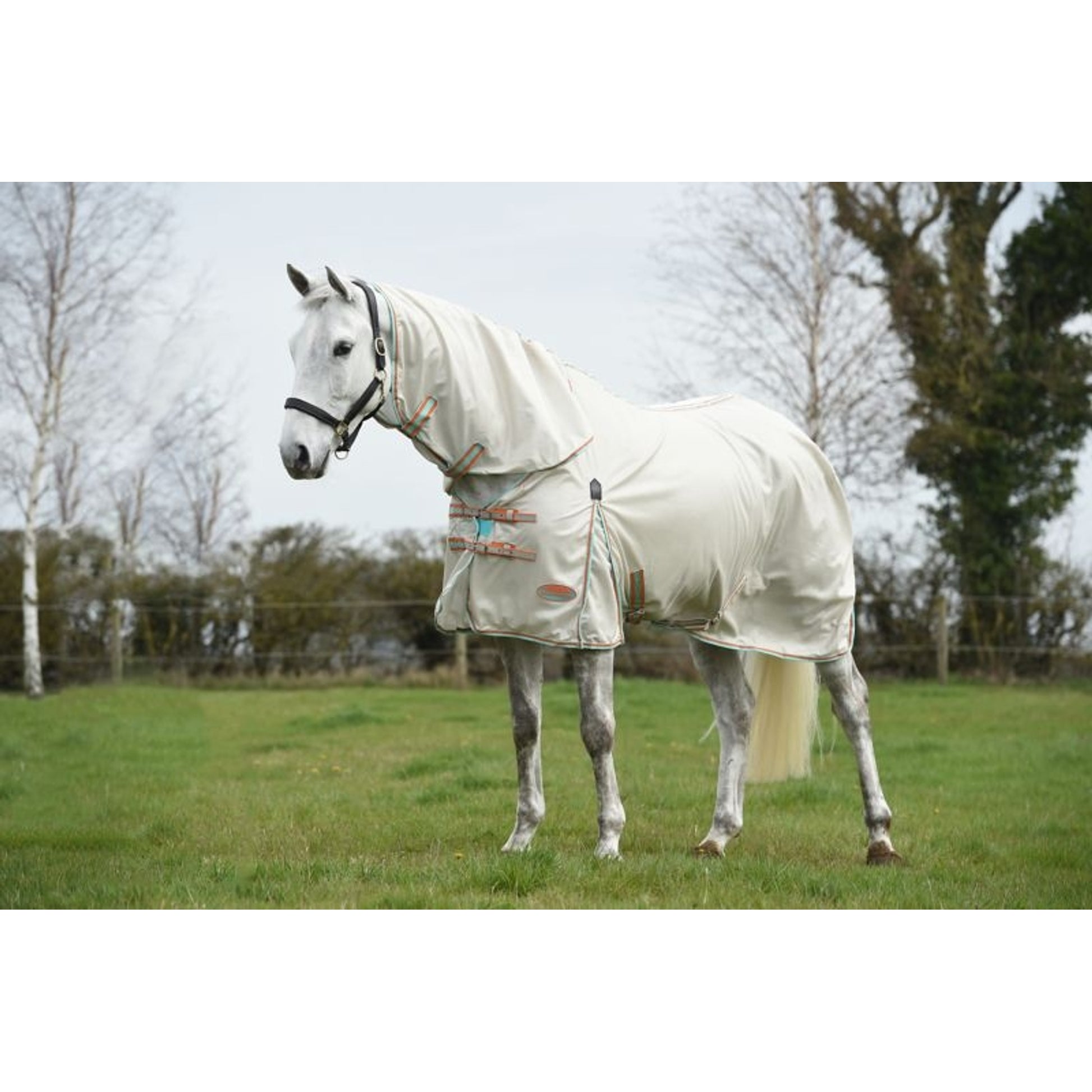 Weatherbeeta ComFiTec Essential Mesh II Combo Neck Turnout