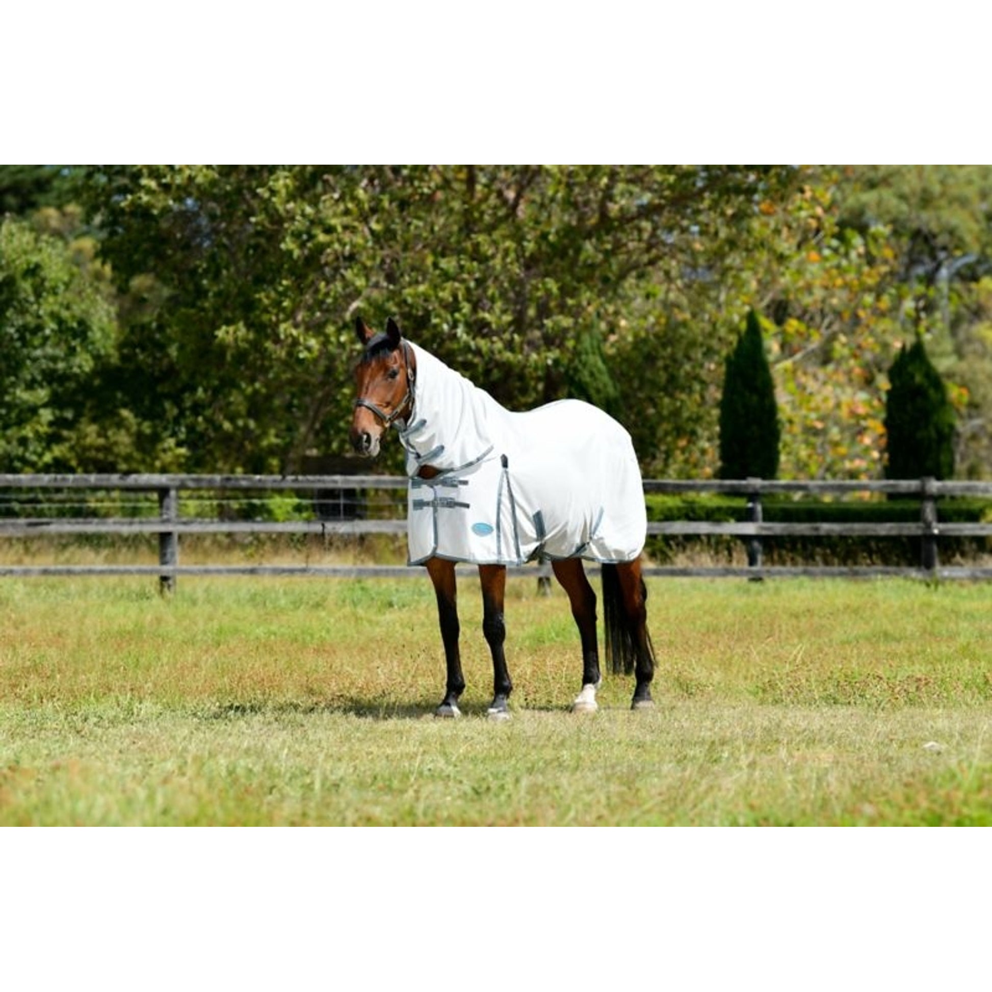 Weatherbeeta ComFiTec Essential Mesh II Combo Neck Turnout