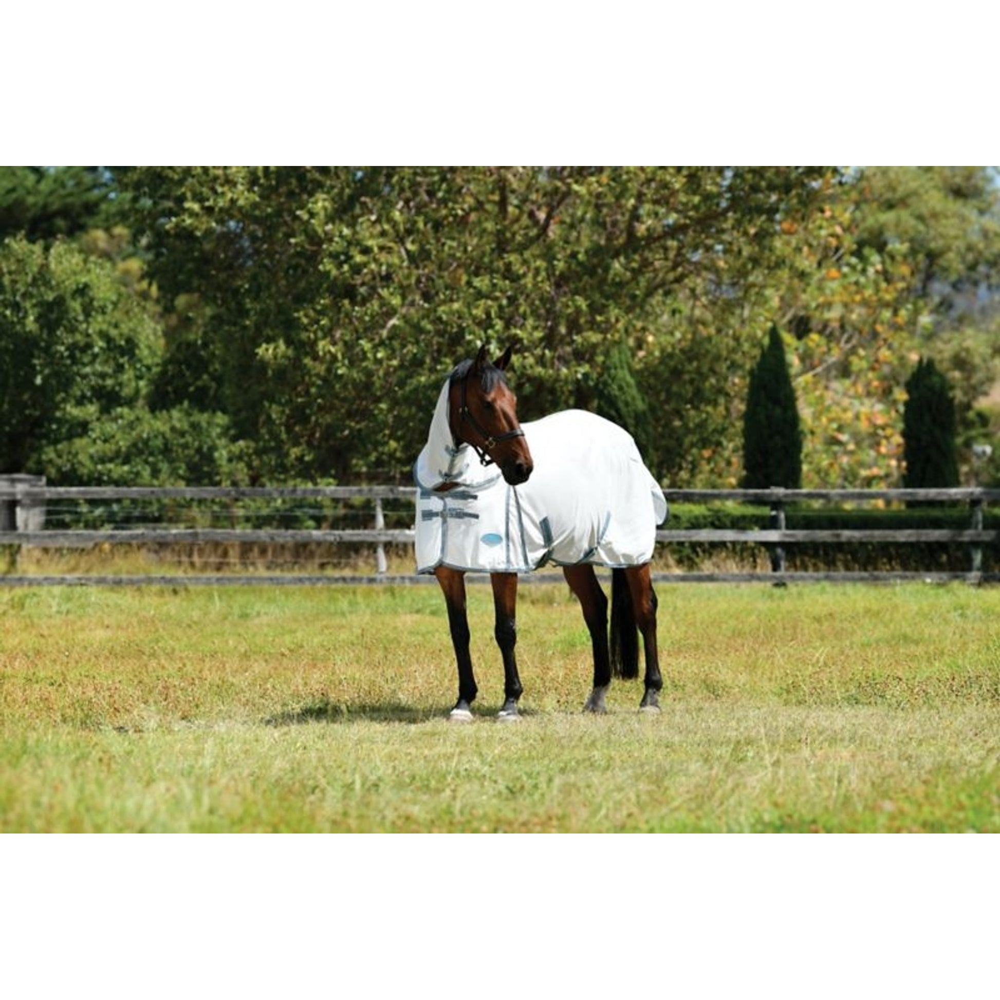 Weatherbeeta ComFiTec Essential Mesh II Combo Neck Turnout