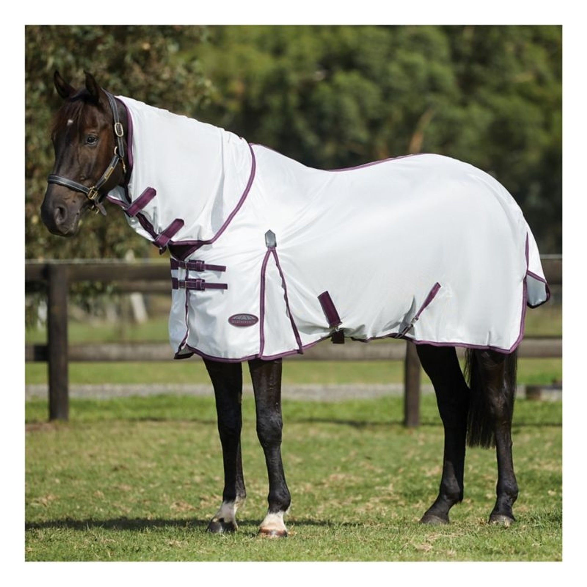 Weatherbeeta ComFiTec Essential Mesh II Combo Neck Turnout
