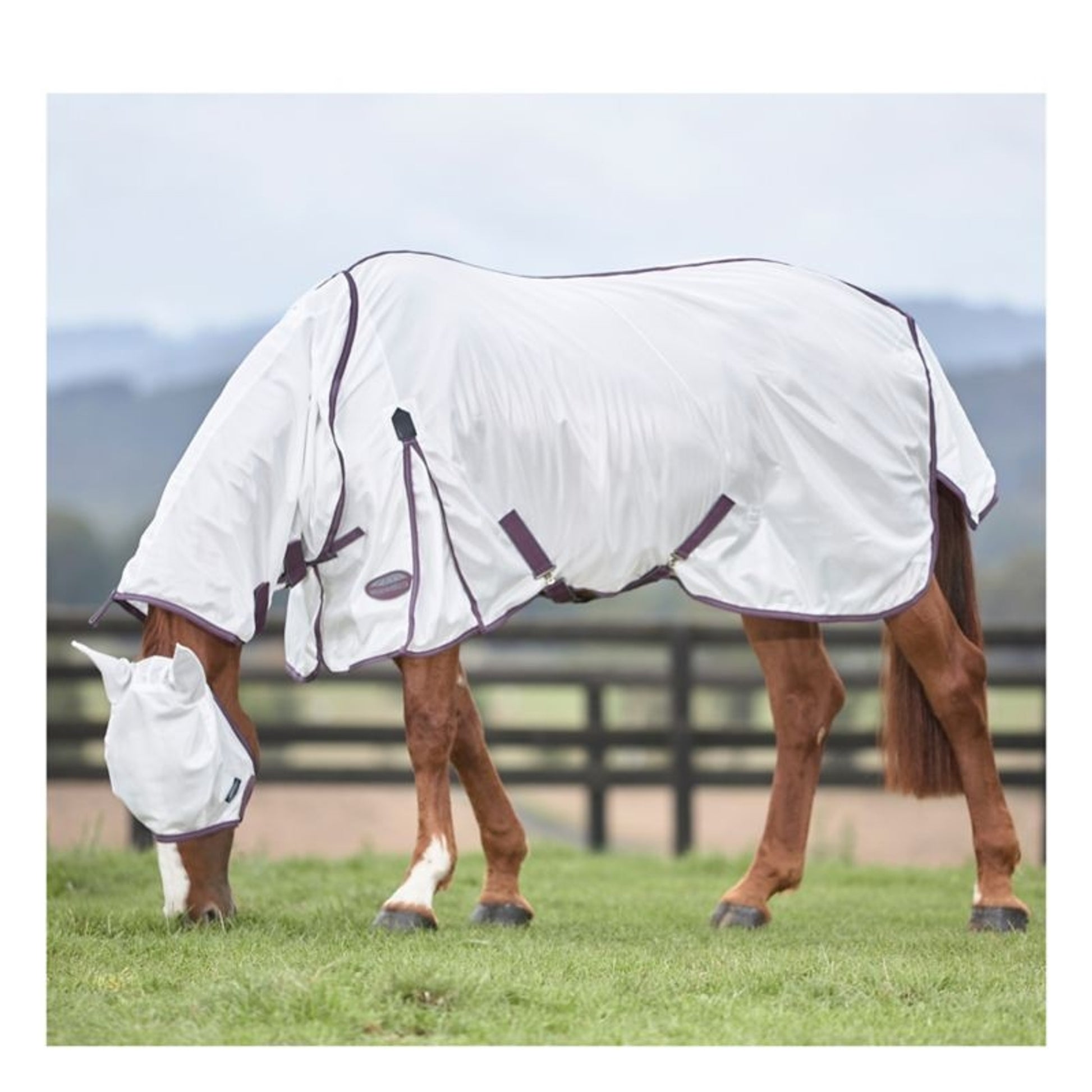 Weatherbeeta ComFiTec Essential Mesh II Combo Neck Turnout