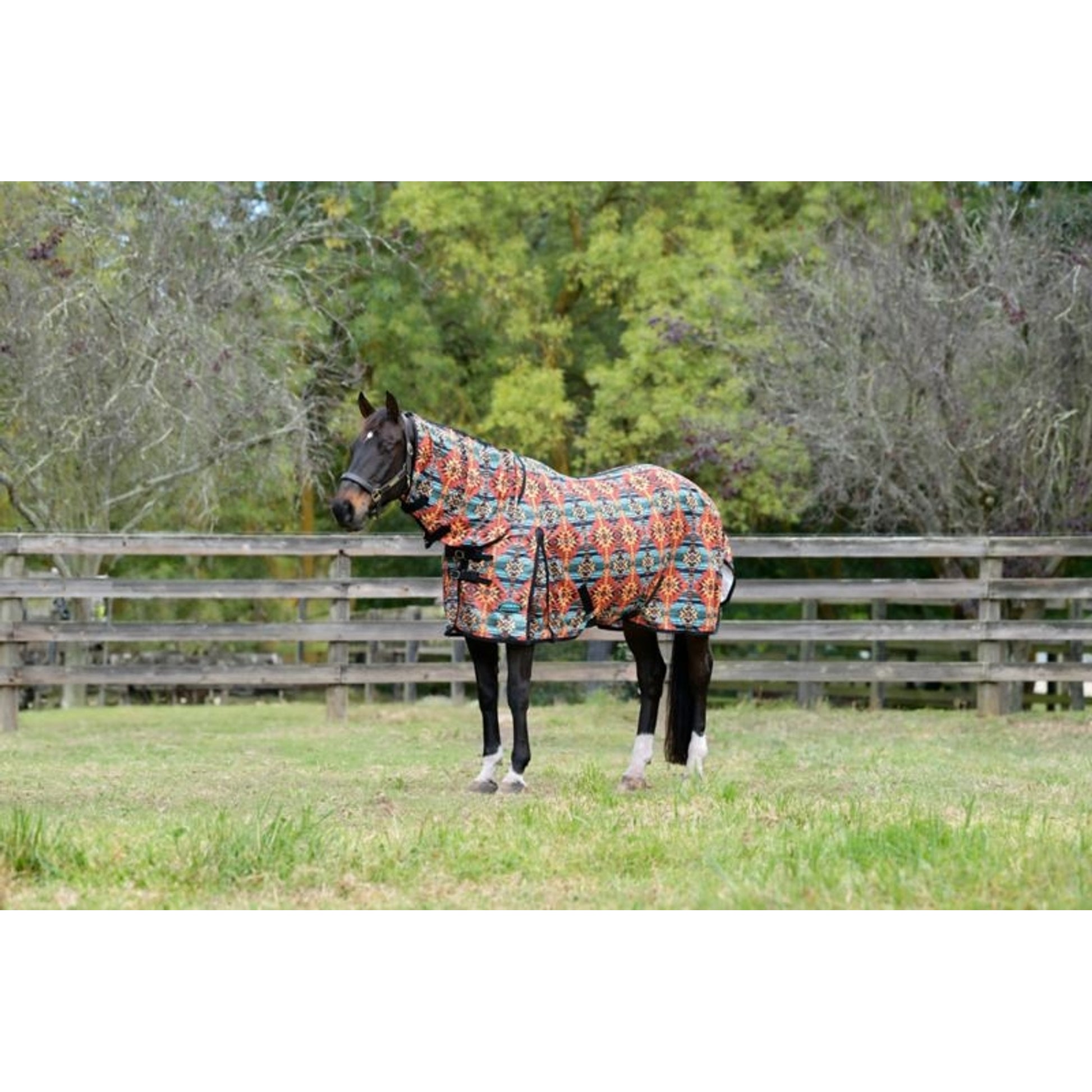 Weatherbeeta ComFiTec Essential Mesh II Combo Neck Turnout