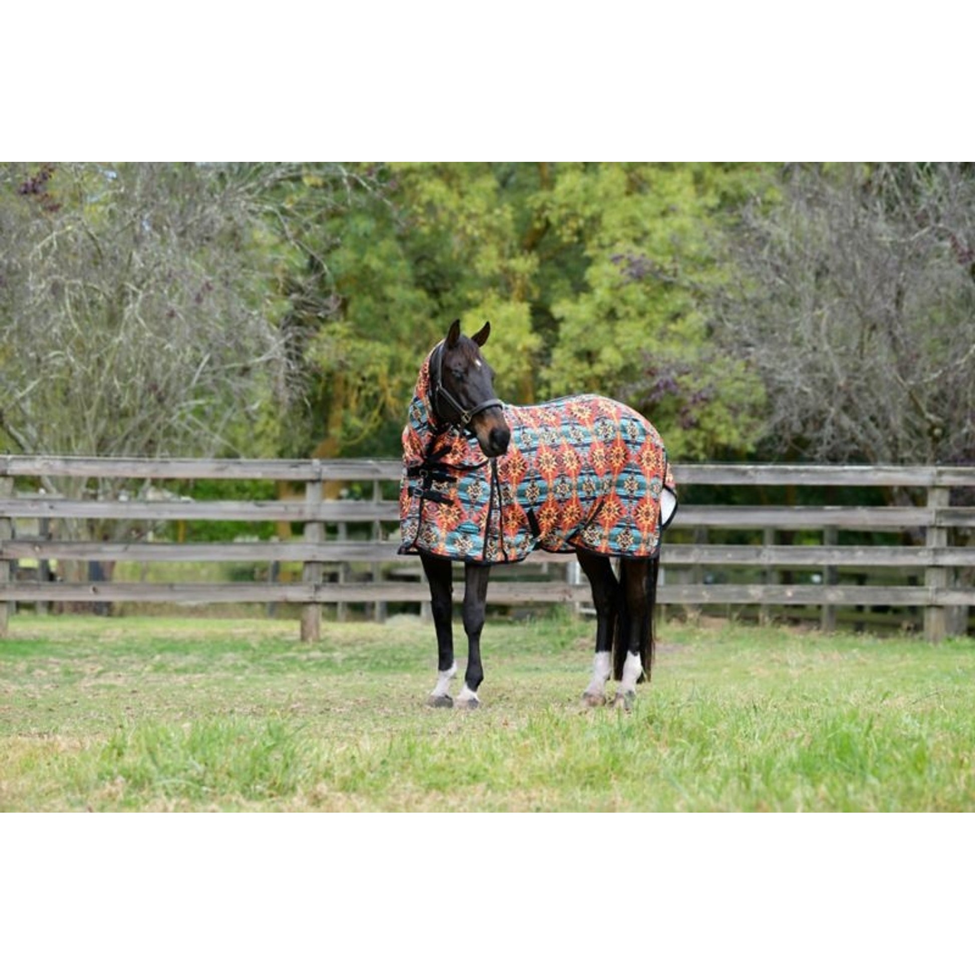 Weatherbeeta ComFiTec Essential Mesh II Combo Neck Turnout