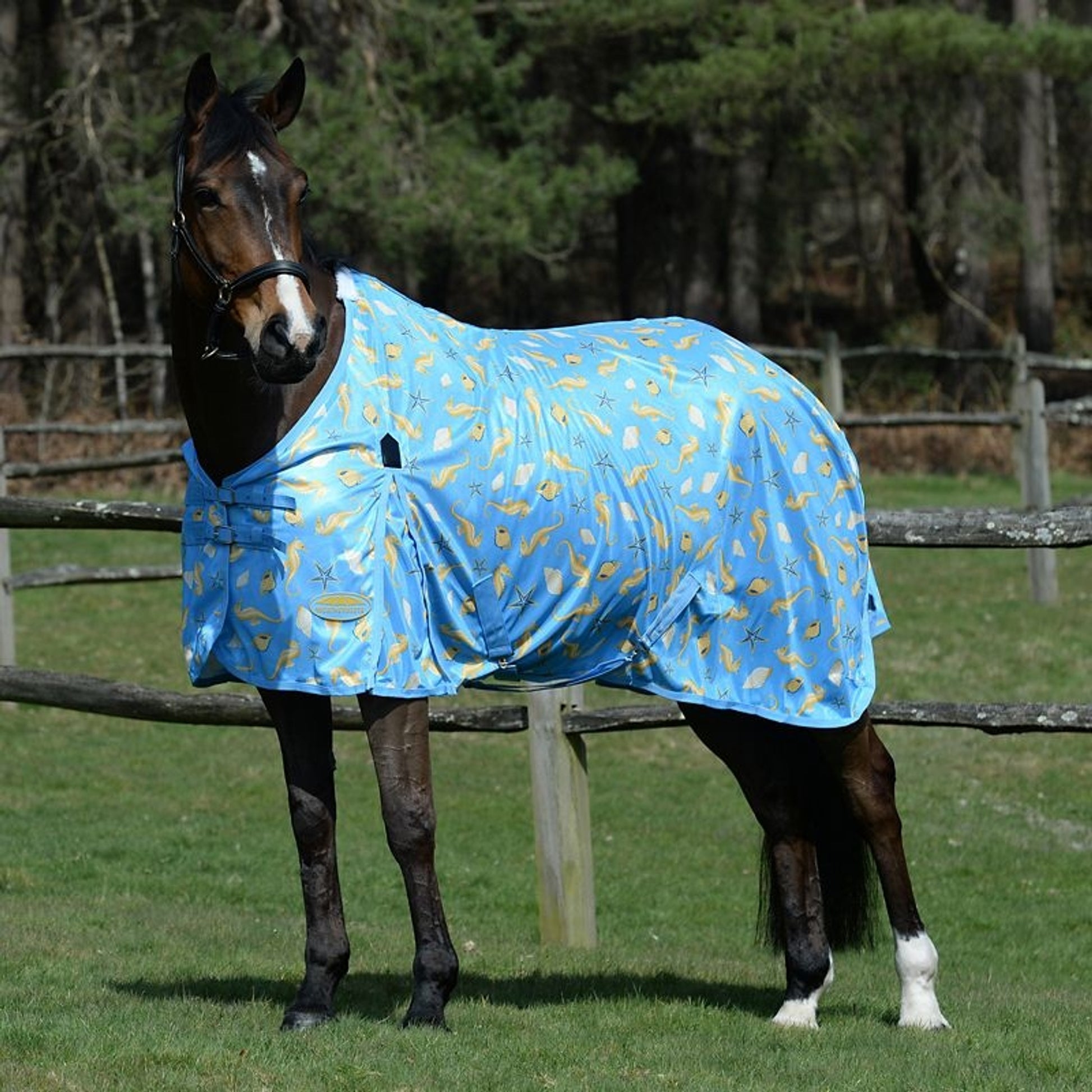 Weatherbeeta ComFiTec Essential Mesh II Standard Neck Turnout