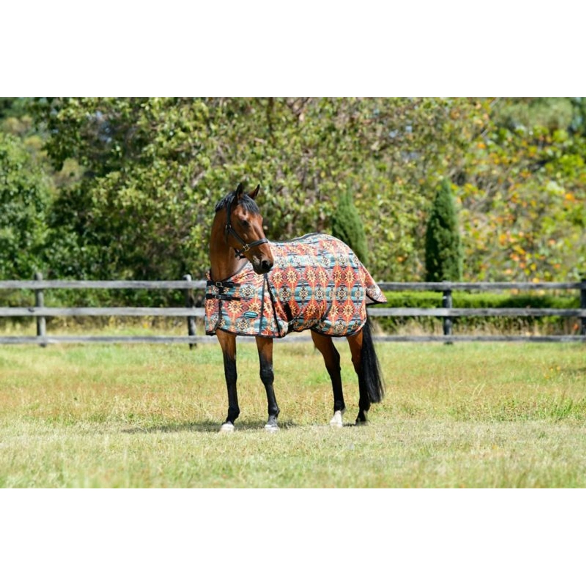 Weatherbeeta ComFiTec Essential Mesh II Standard Neck Turnout