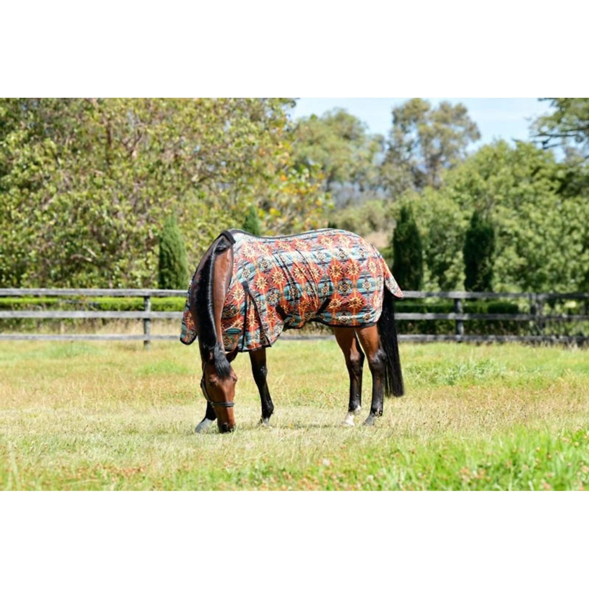 Weatherbeeta ComFiTec Essential Mesh II Standard Neck Turnout