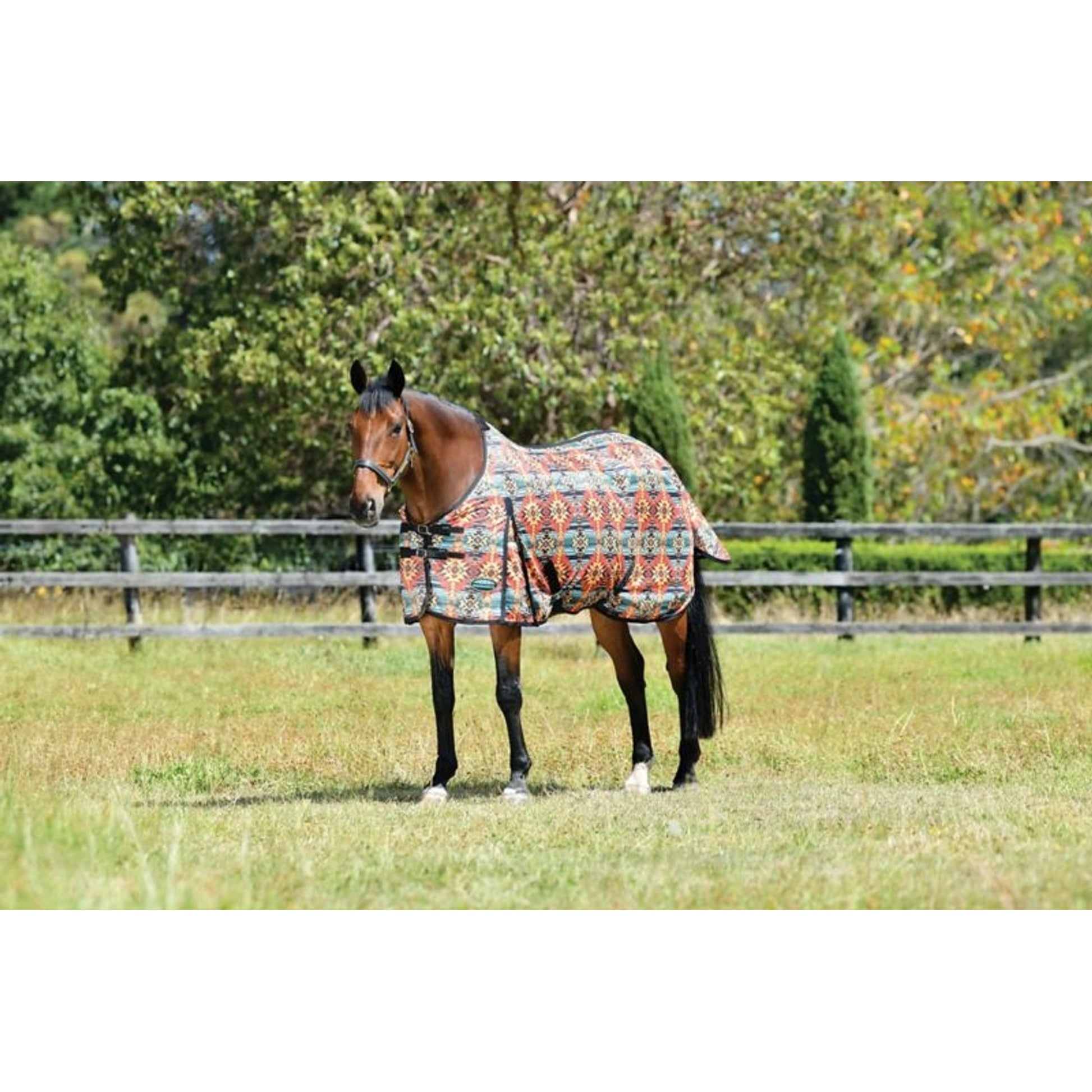 Weatherbeeta ComFiTec Essential Mesh II Standard Neck Turnout