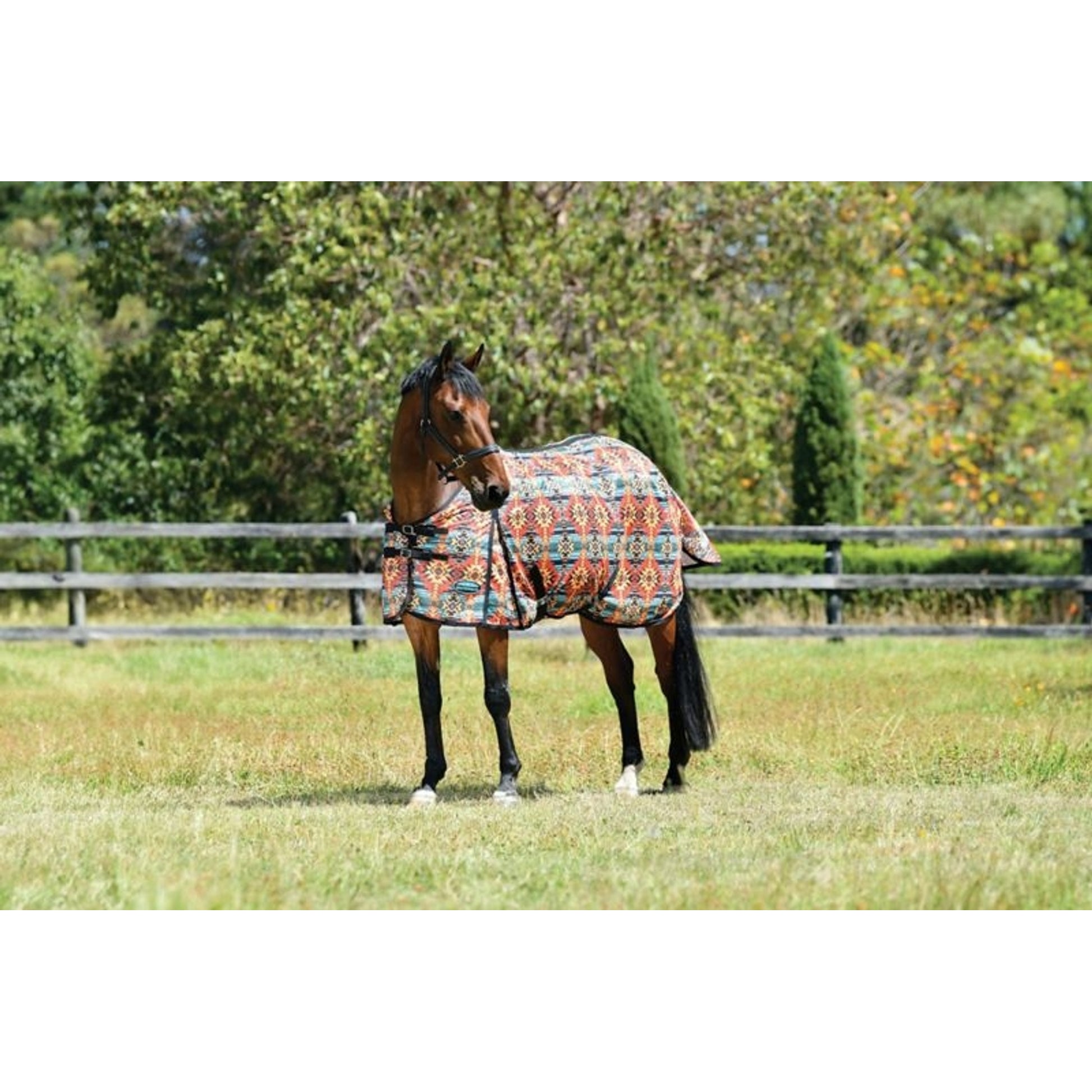 Weatherbeeta ComFiTec Essential Mesh II Standard Neck Turnout