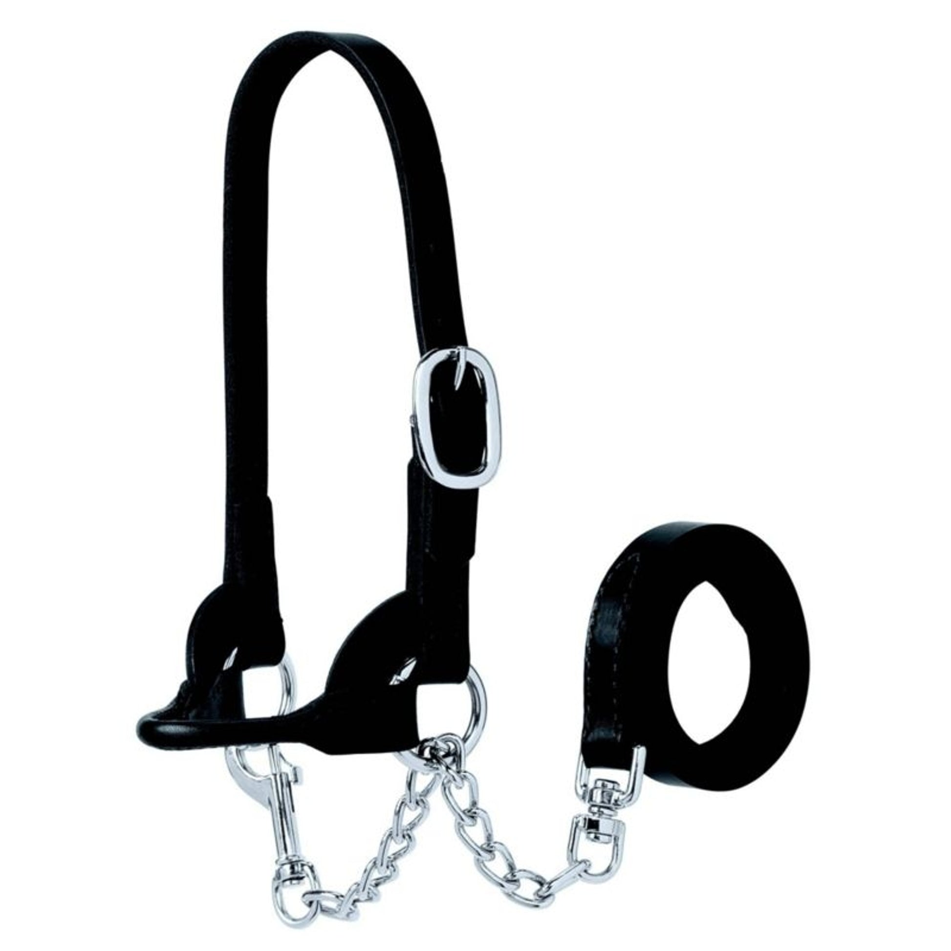 Weaver Club Calf/Sheep Halter